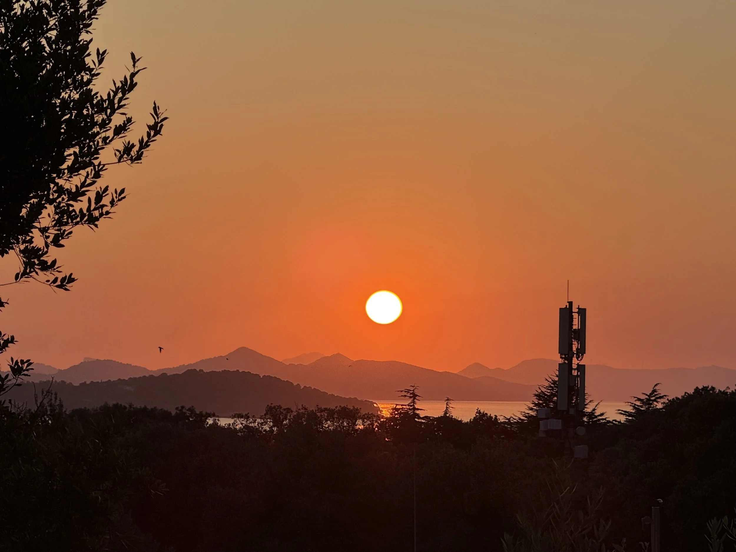 6G may well be the green G