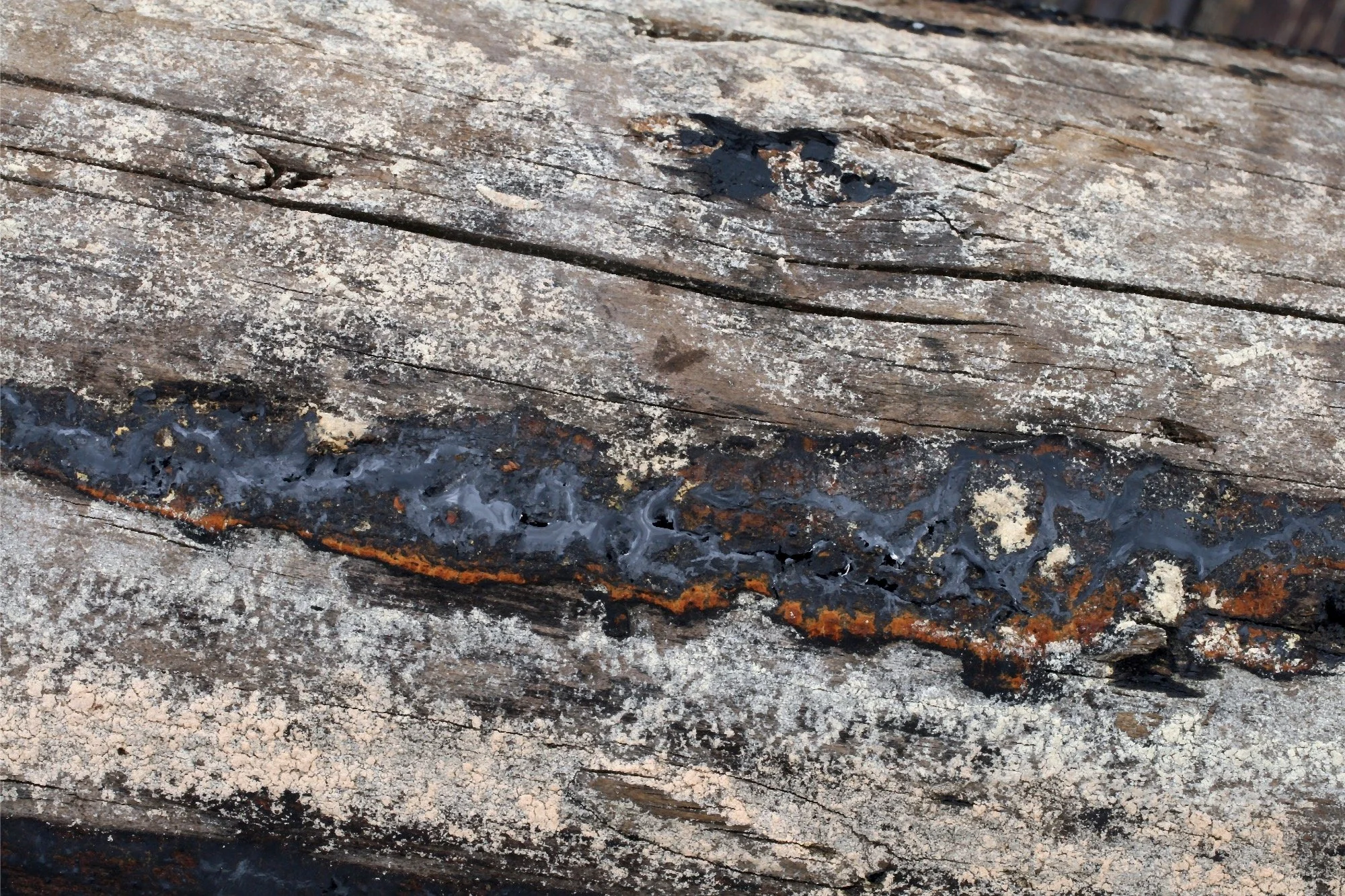 So what I am old? I am beautiful