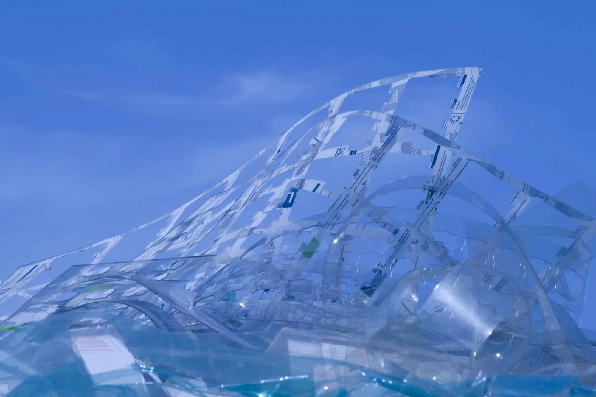 Fly, dream-BOR-2000px.jpg