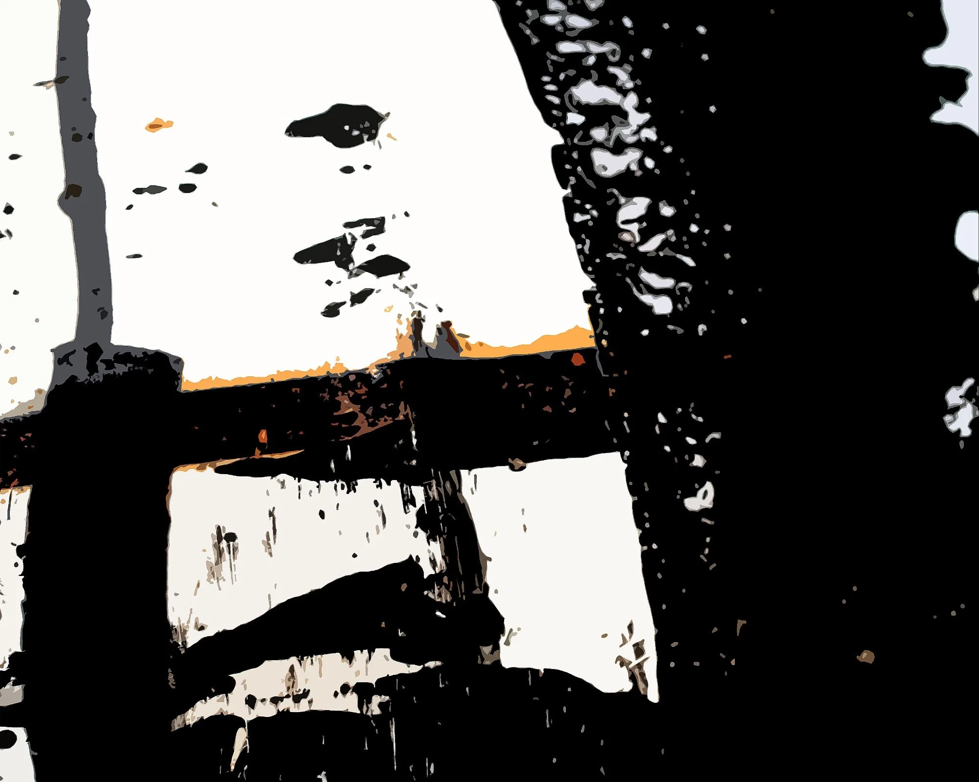 Was it only black and white-BOR 2000.jpg