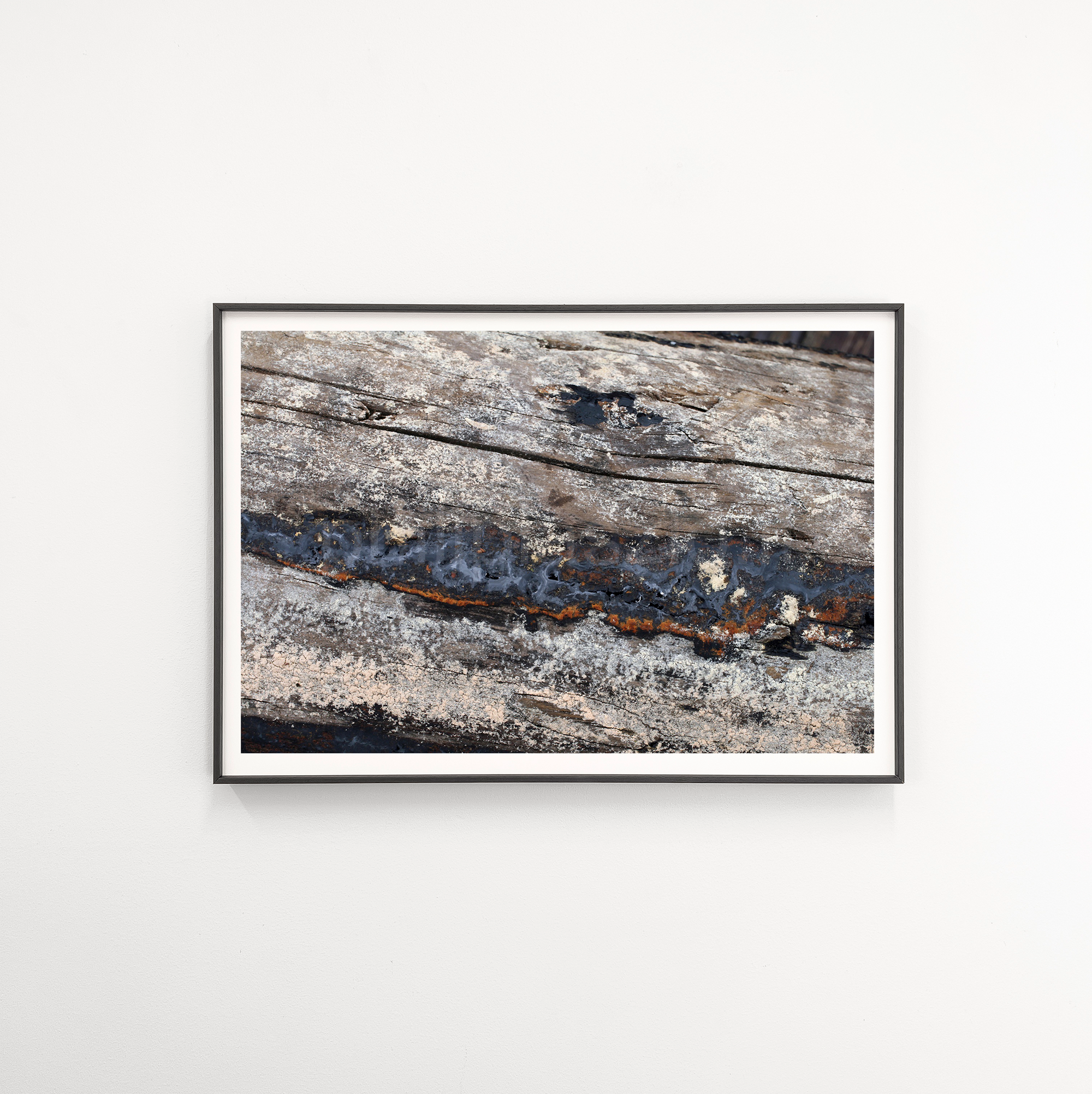 So what I am old? I am beautiful