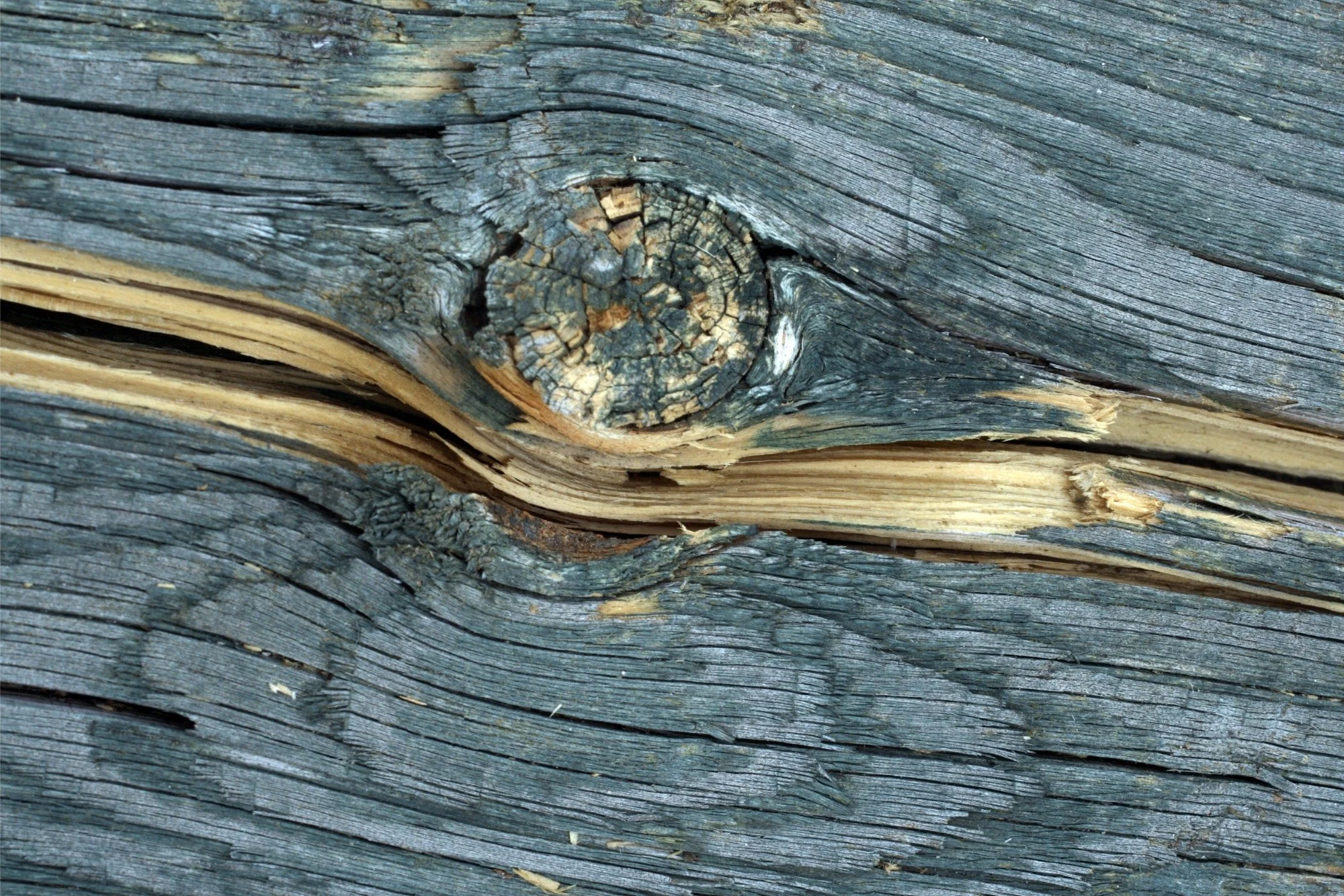 Eyes and mind wide open