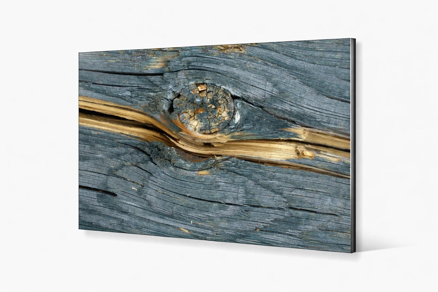 Eyes and mind wide open.jpg