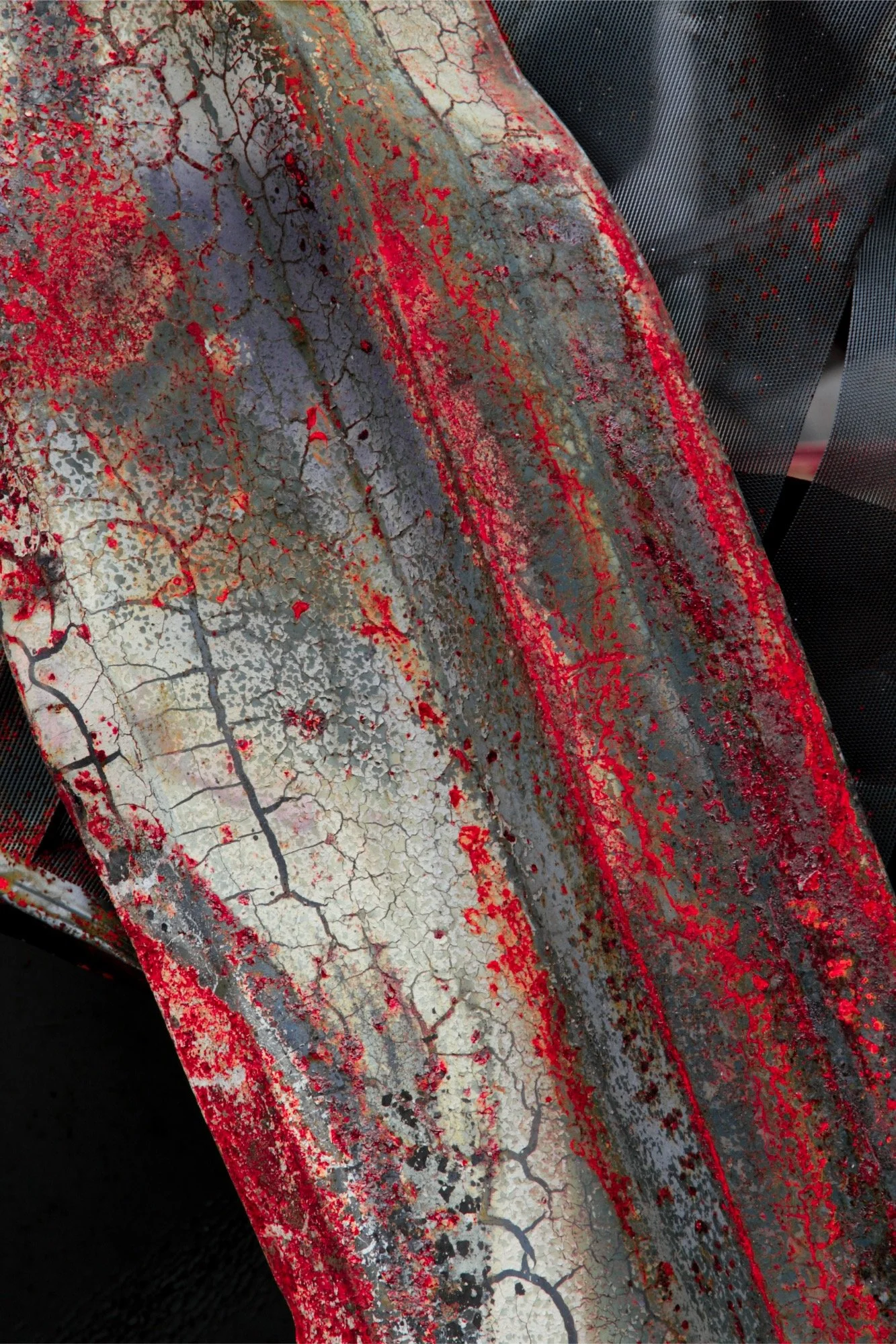 Veins of life-BOR.1-2000px.jpg