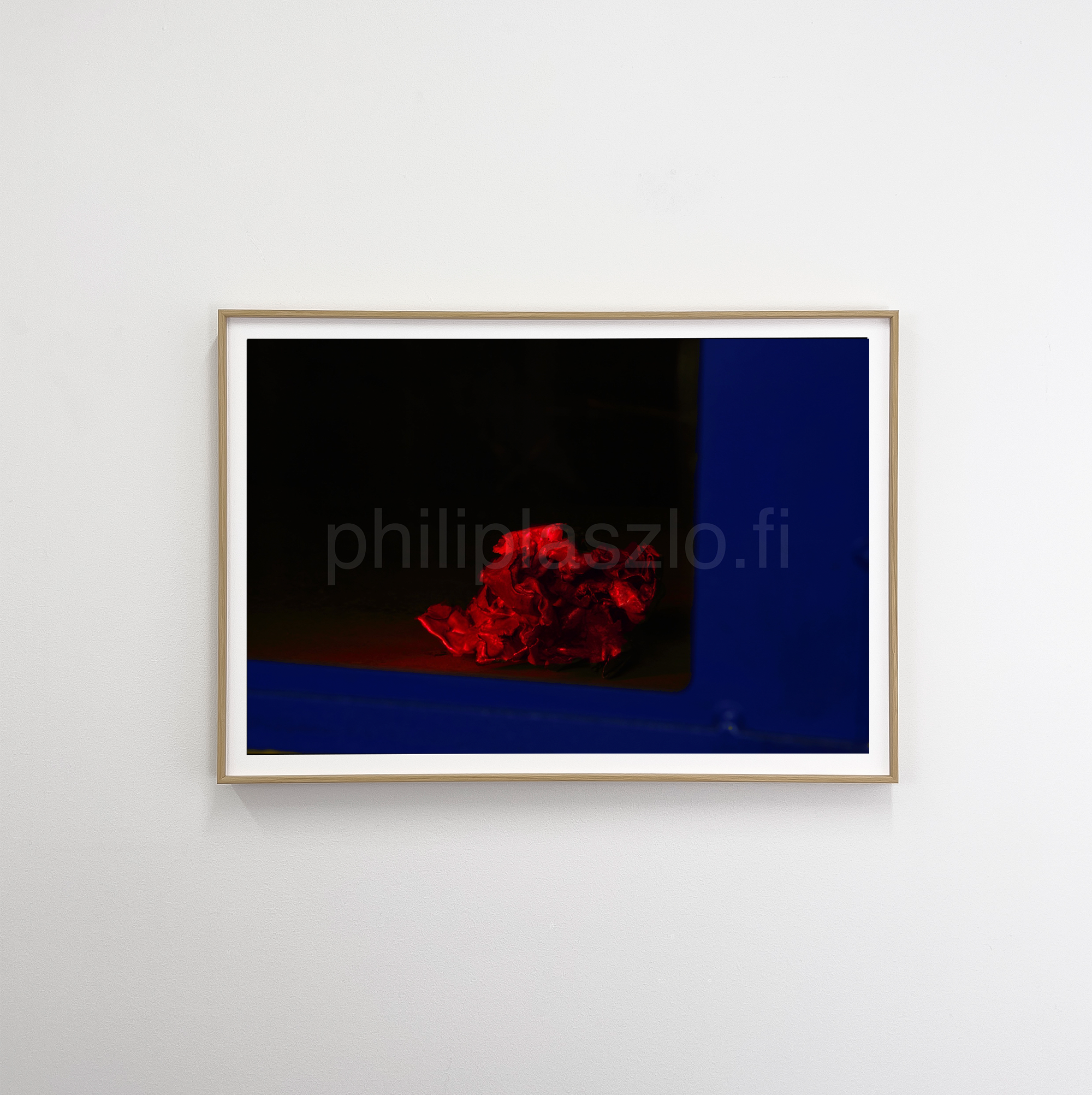 Philipo aluviilu oak Carmen.png