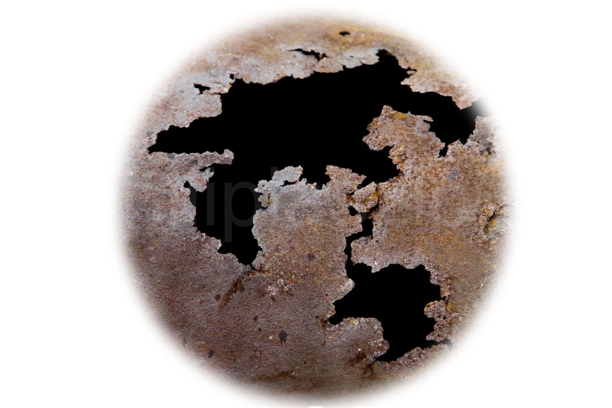 The new world-BOR-2000px..jpg