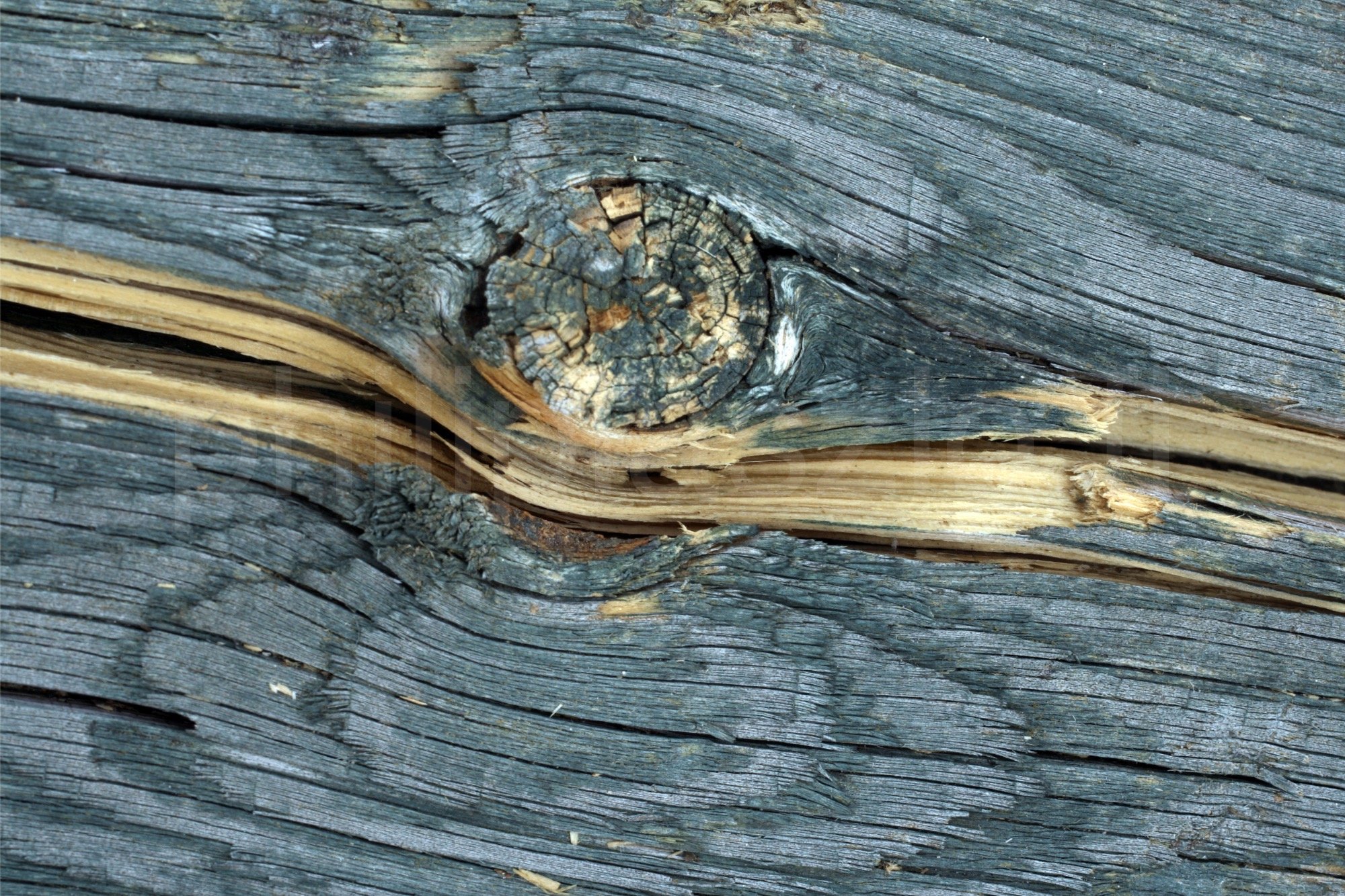 eyes and mind open-BOR 2000px.jpg