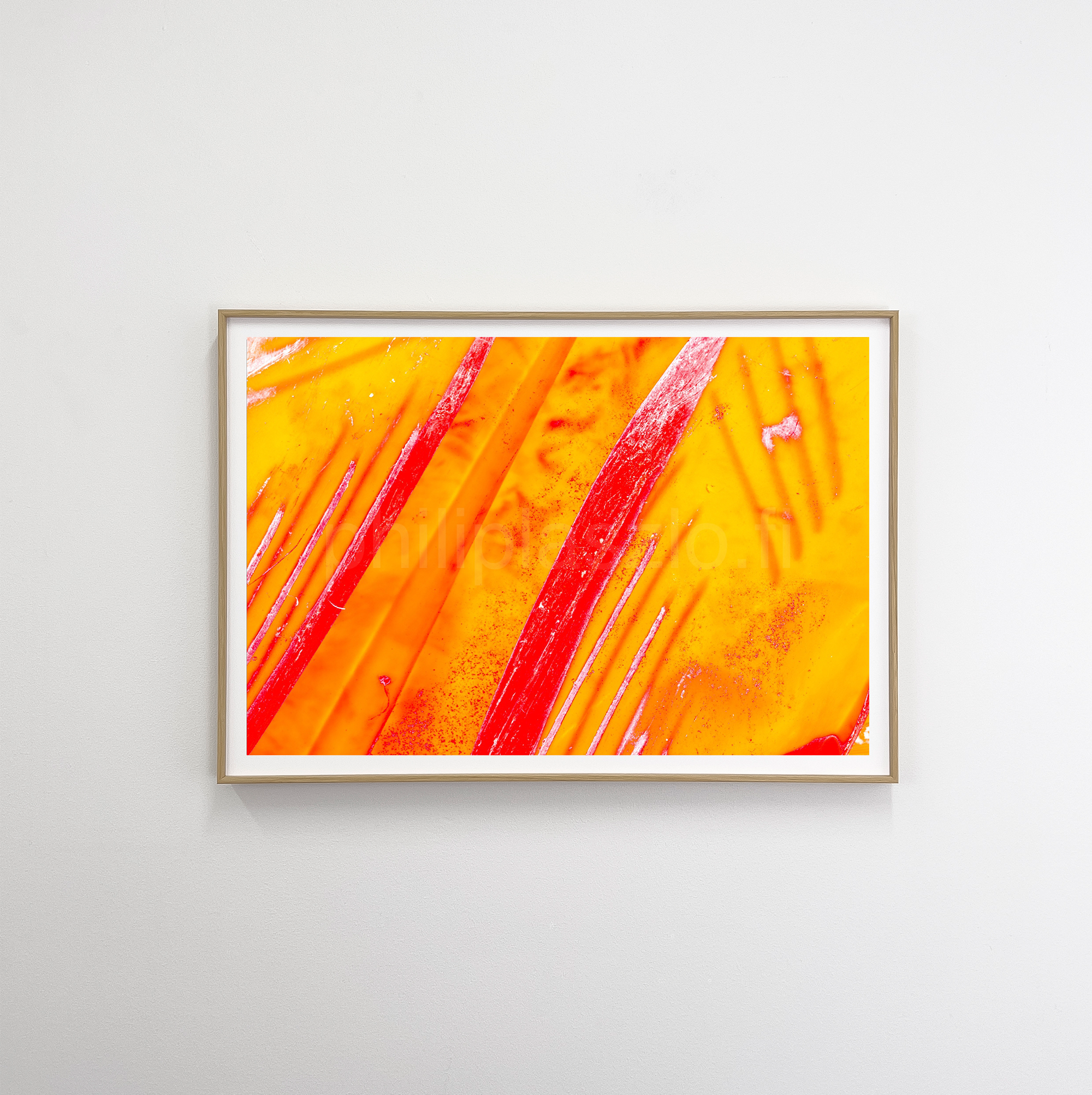 Philipo aluviilu oak In the shade.png