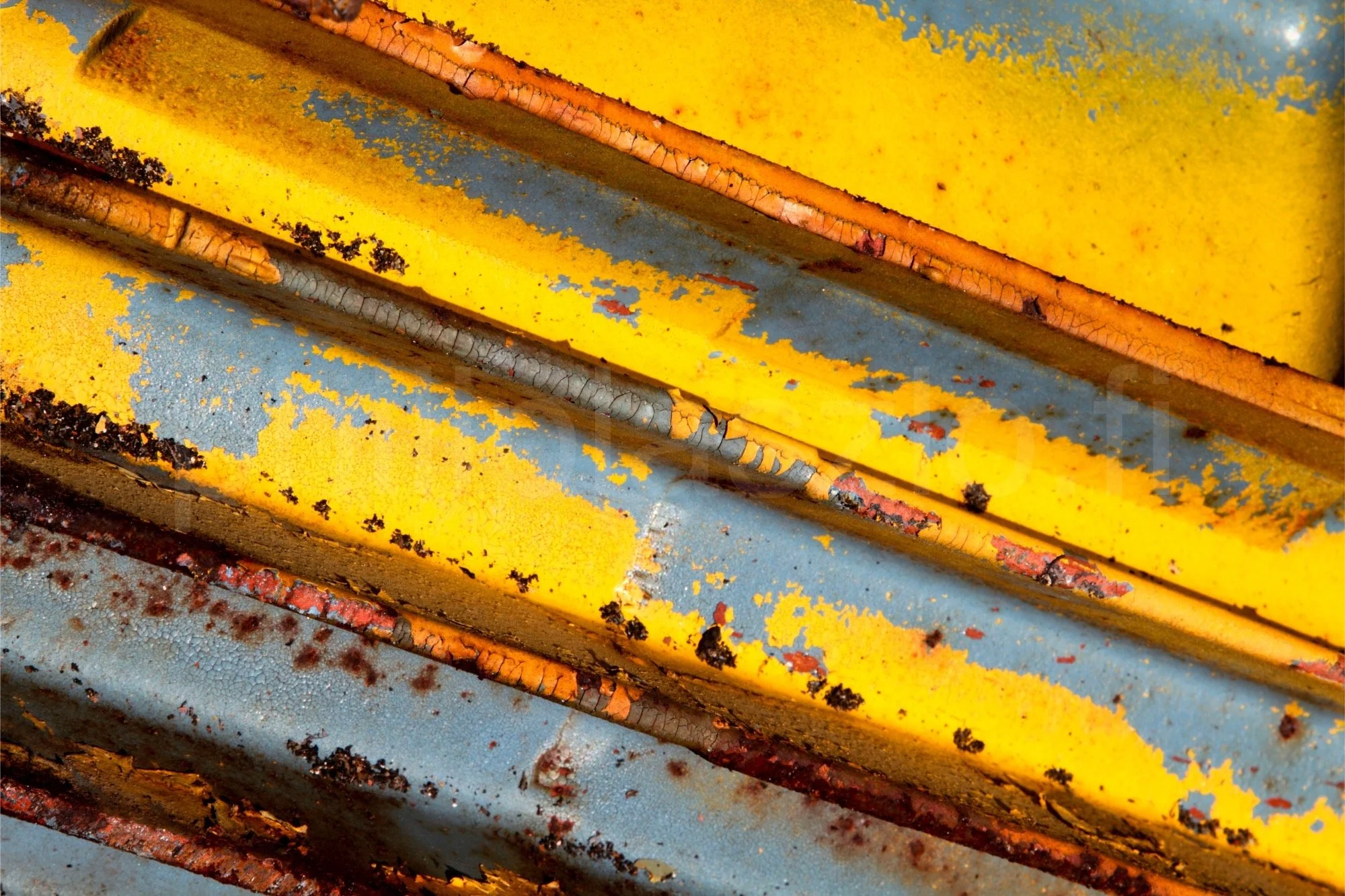 Four Pack-BOR-2000px.jpg