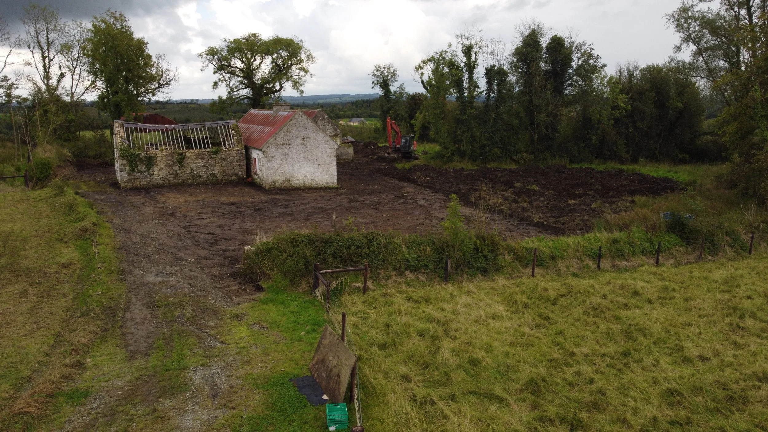 THE IRISH HOMESTEAD