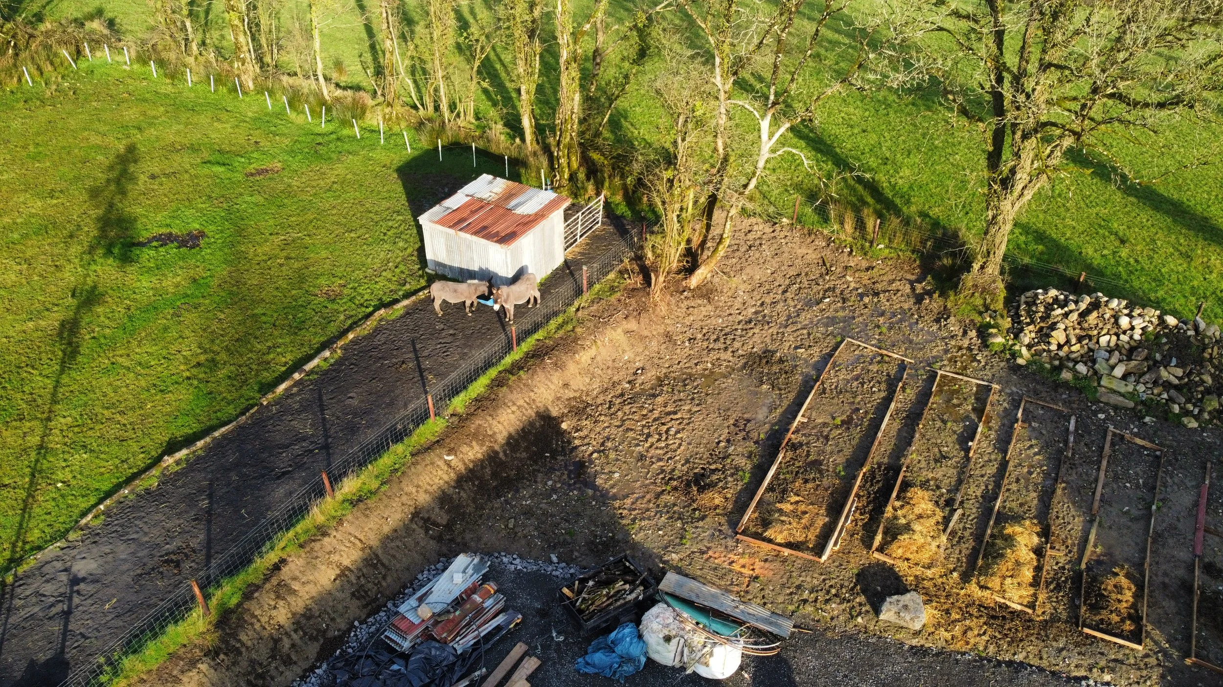 dji_fly_20241119_135638_715_1732024652032_photo_optimized.jpg