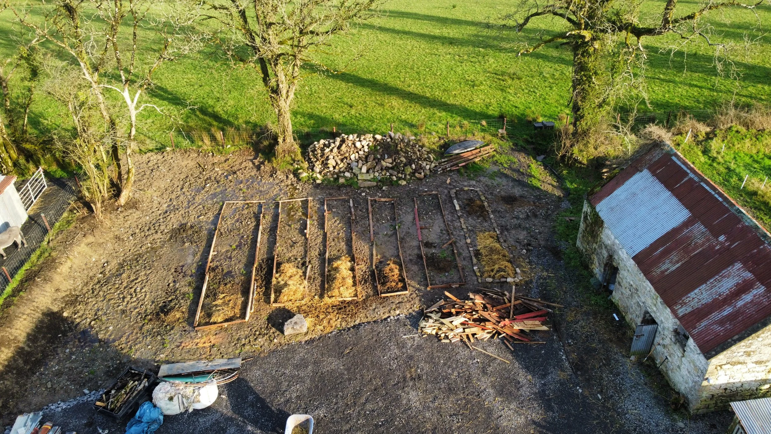 dji_fly_20241119_135626_714_1732024655143_photo_optimized.jpg