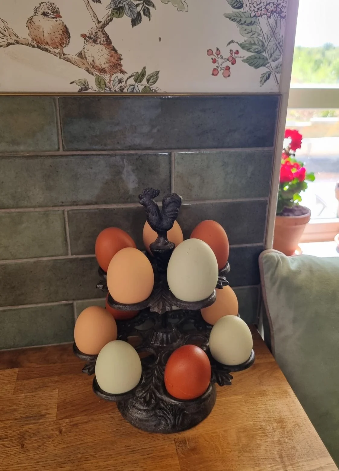hens eggs.jpeg