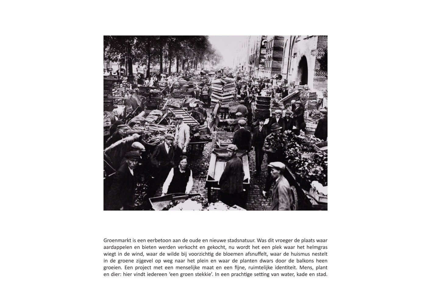 02_Groenmarkt-verleden.jpg