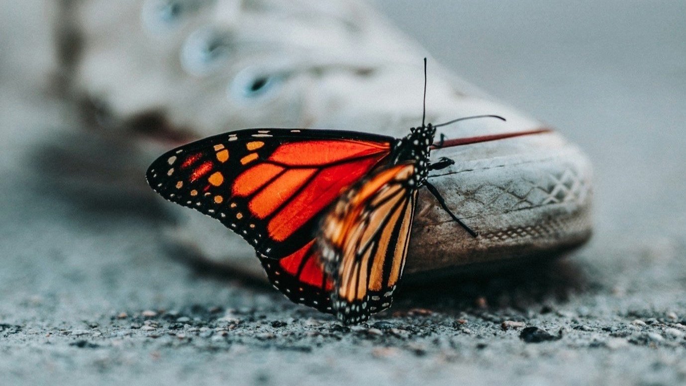 What My First Experience Leading an HR Transformation Taught Me — Lessons Every HR Leader Should Know