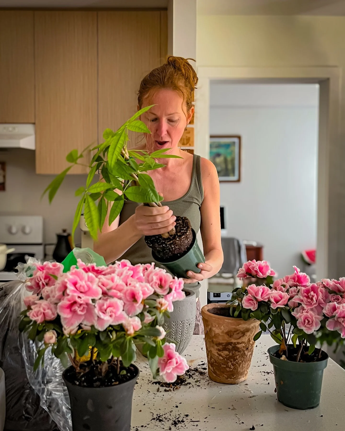 While you&rsquo;re taking another selfie, making a &ldquo;trendy&rdquo; reel that turns you into a doll, or recording content from your basement or car &mdash; I&rsquo;m buying plants&hellip; and calling it content.

Because when your visuals are par