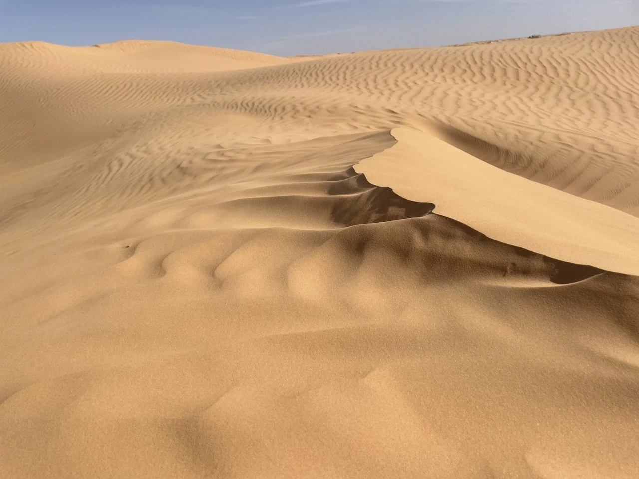 2-day Jagadambar Desert Ceremony