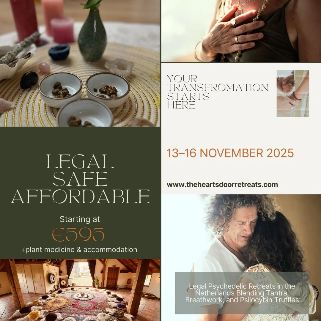 Begin your transformation

Legal Psilocybin 🍄 Retreats in the Netherlands Blending Embodiment Practices, Breathwork, and Psychedelics

What if you had the clarity, energy, and inner alignment to create a life that truly supports your health, joy, an