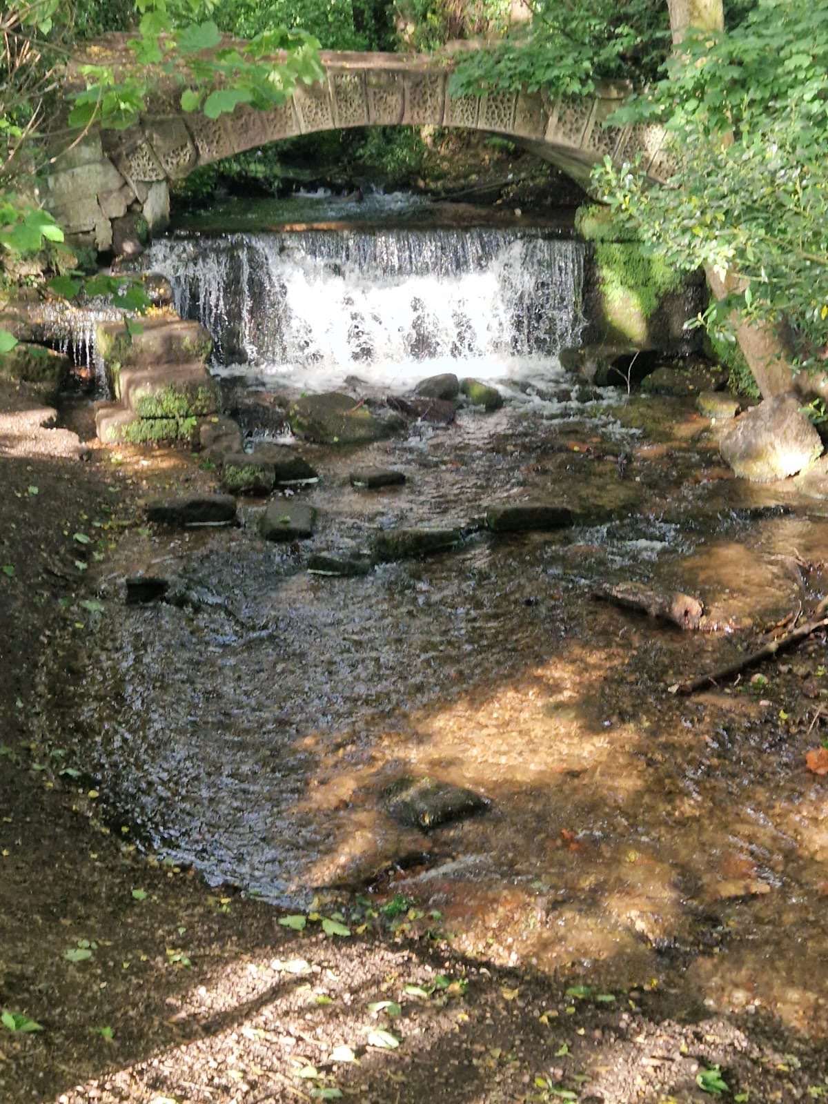 Sunday Walk