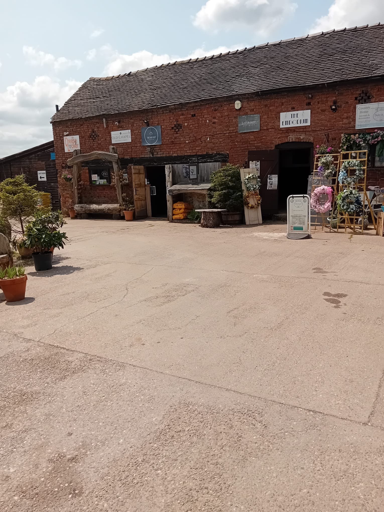 Short walk and visit to Cobwebs Coffee shop.