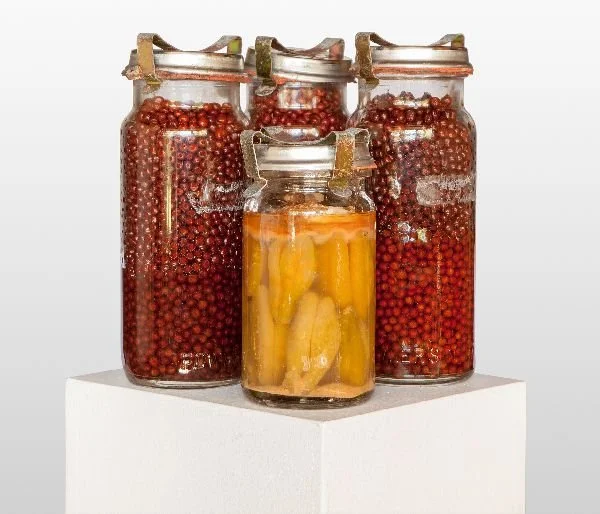 Preserve of the Gloriosa Superba
