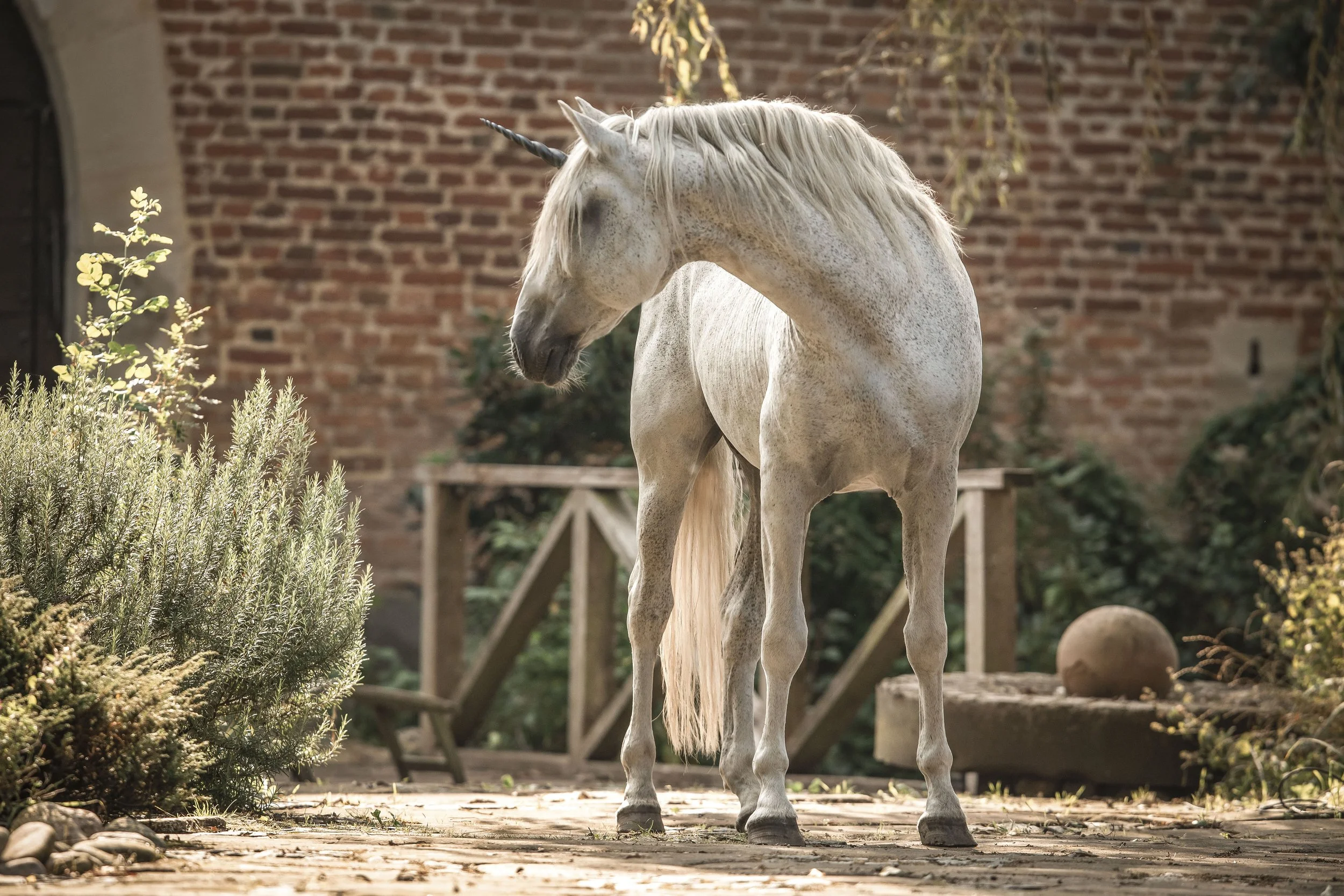 2B6A7457 Kopie_1.JPG