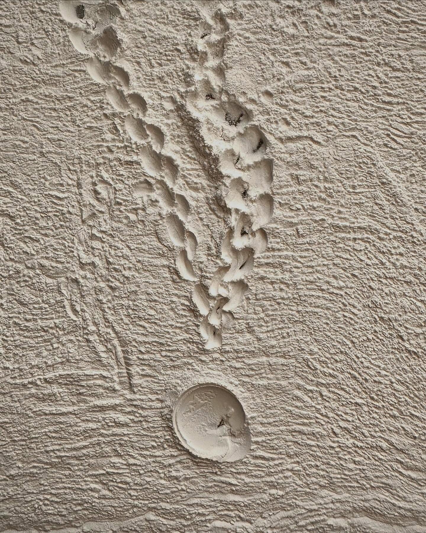 Just like the memory it holds, our jewellery is designed to leave a lasting impression &mdash; timeless, personal, unforgettable. ✨

Every piece tells a story, every detail captures a moment. Just like the memories you cherish, each piece is designed