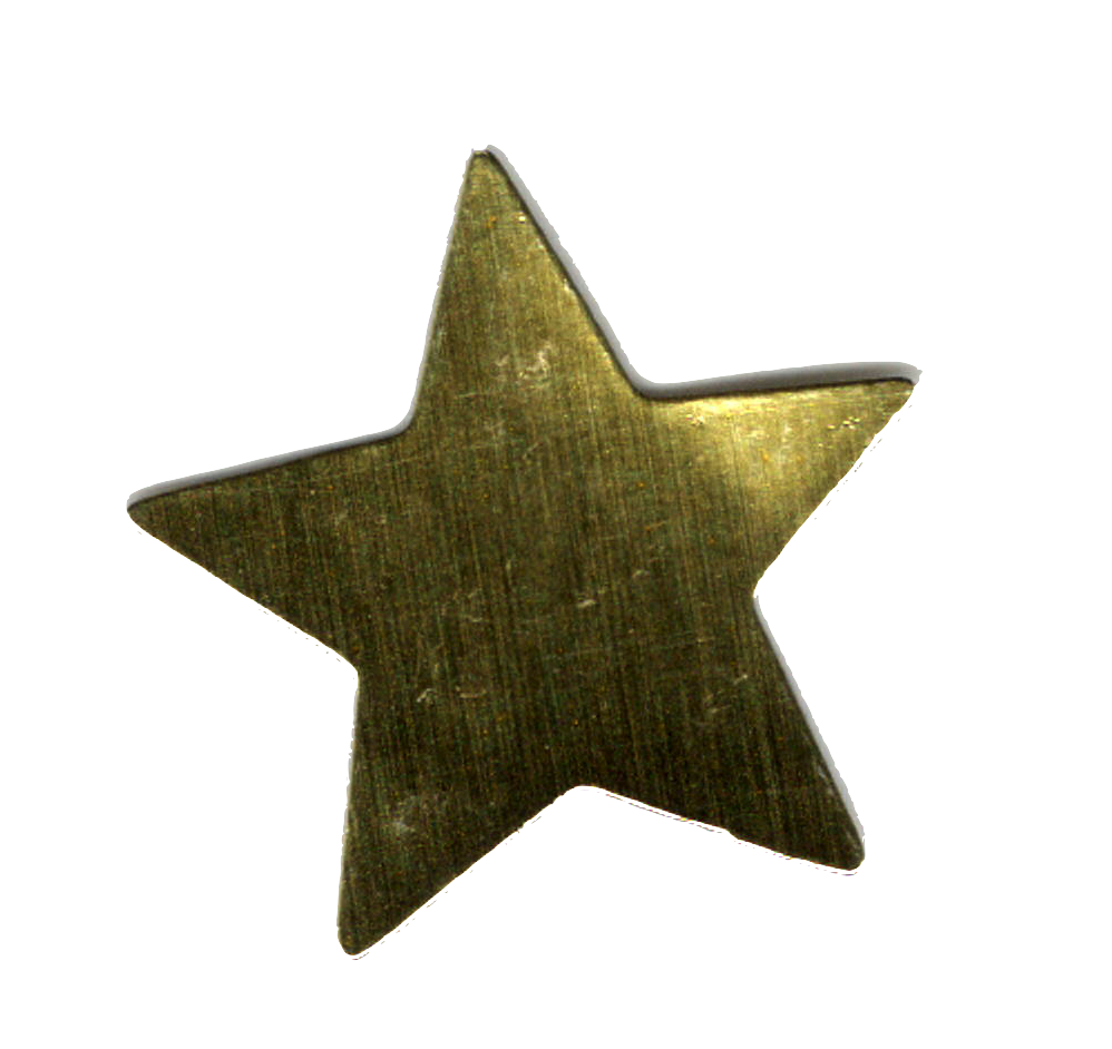a dark gold star sticker