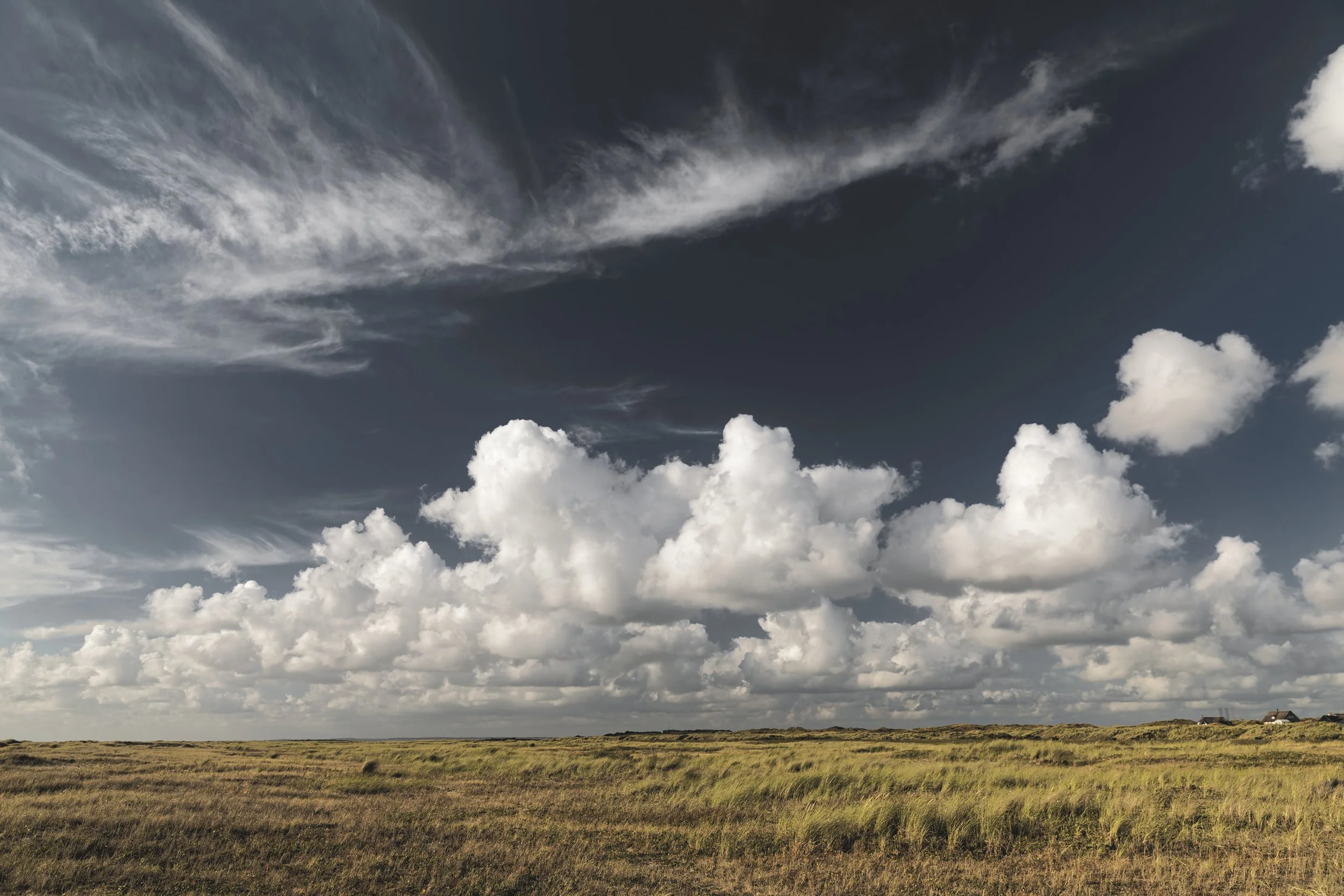 Offenes Feld mit Gräsern unter bewölktem Himmel, Fanö Dänemark