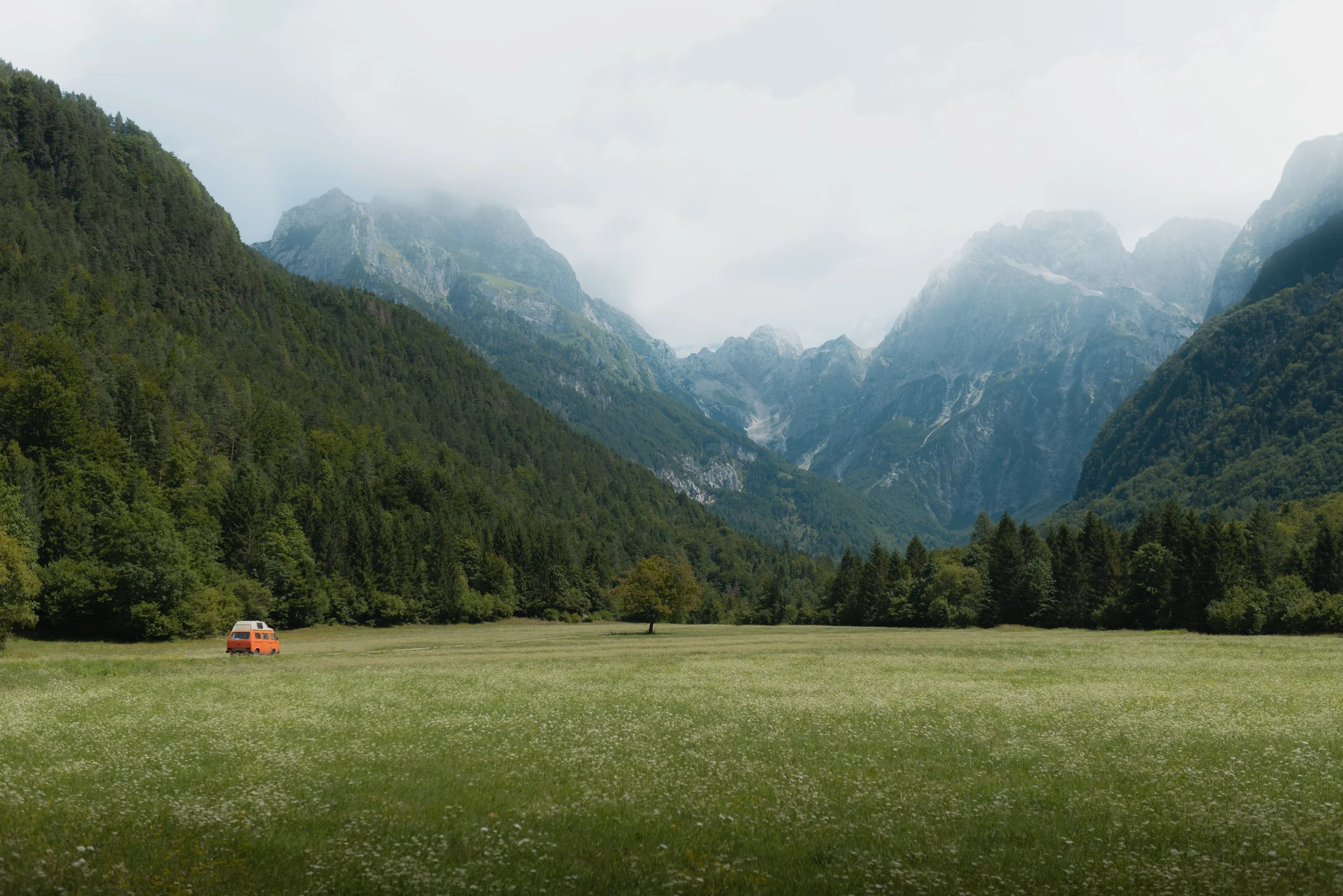 Red van parked in a lush green meadow with a backdrop of forested mountains and cloudy sky.