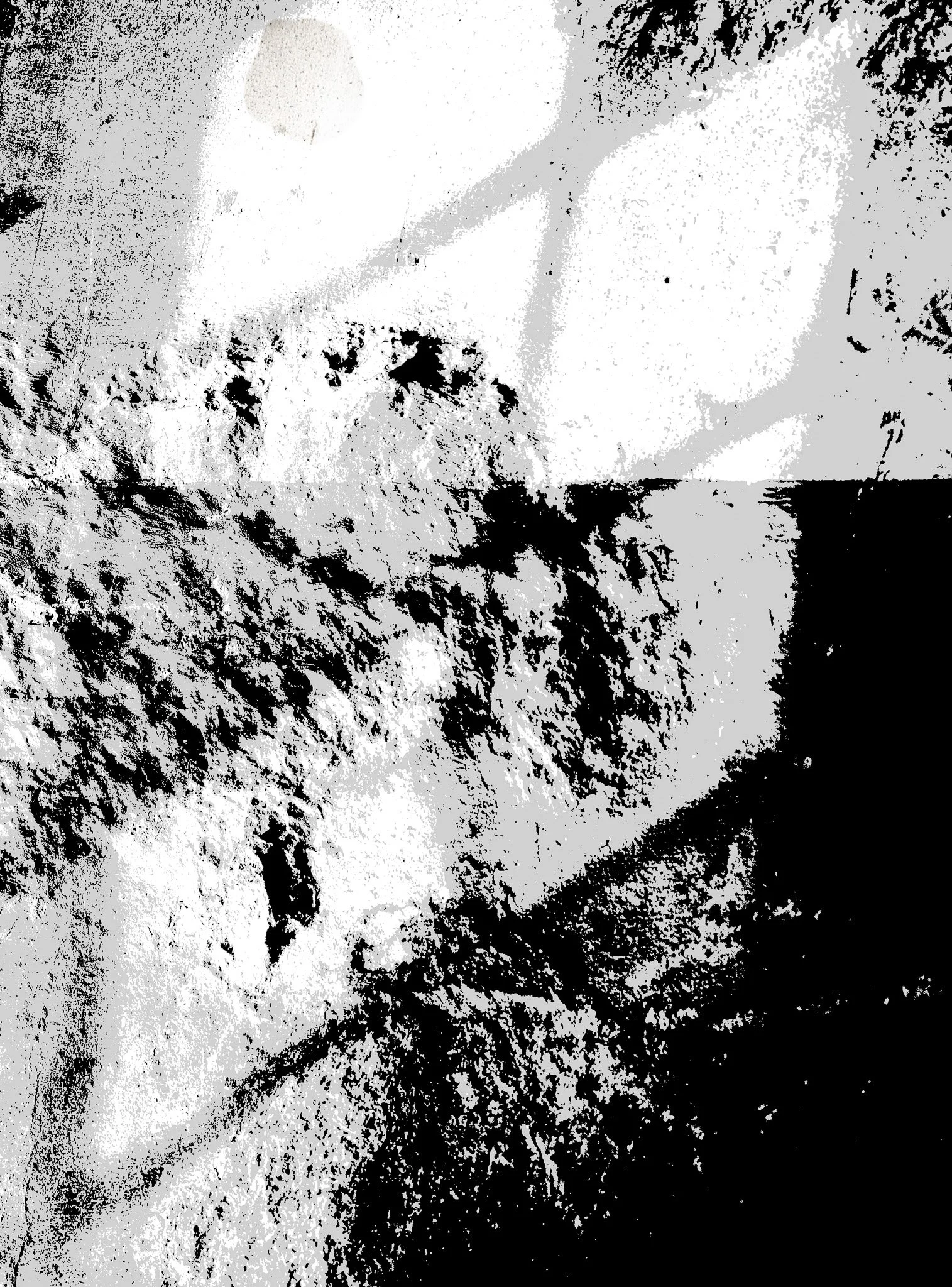 Imagem em preto e branco de uma rocha ou superfície semelhante, com texturas variadas e áreas de contraste elevado.