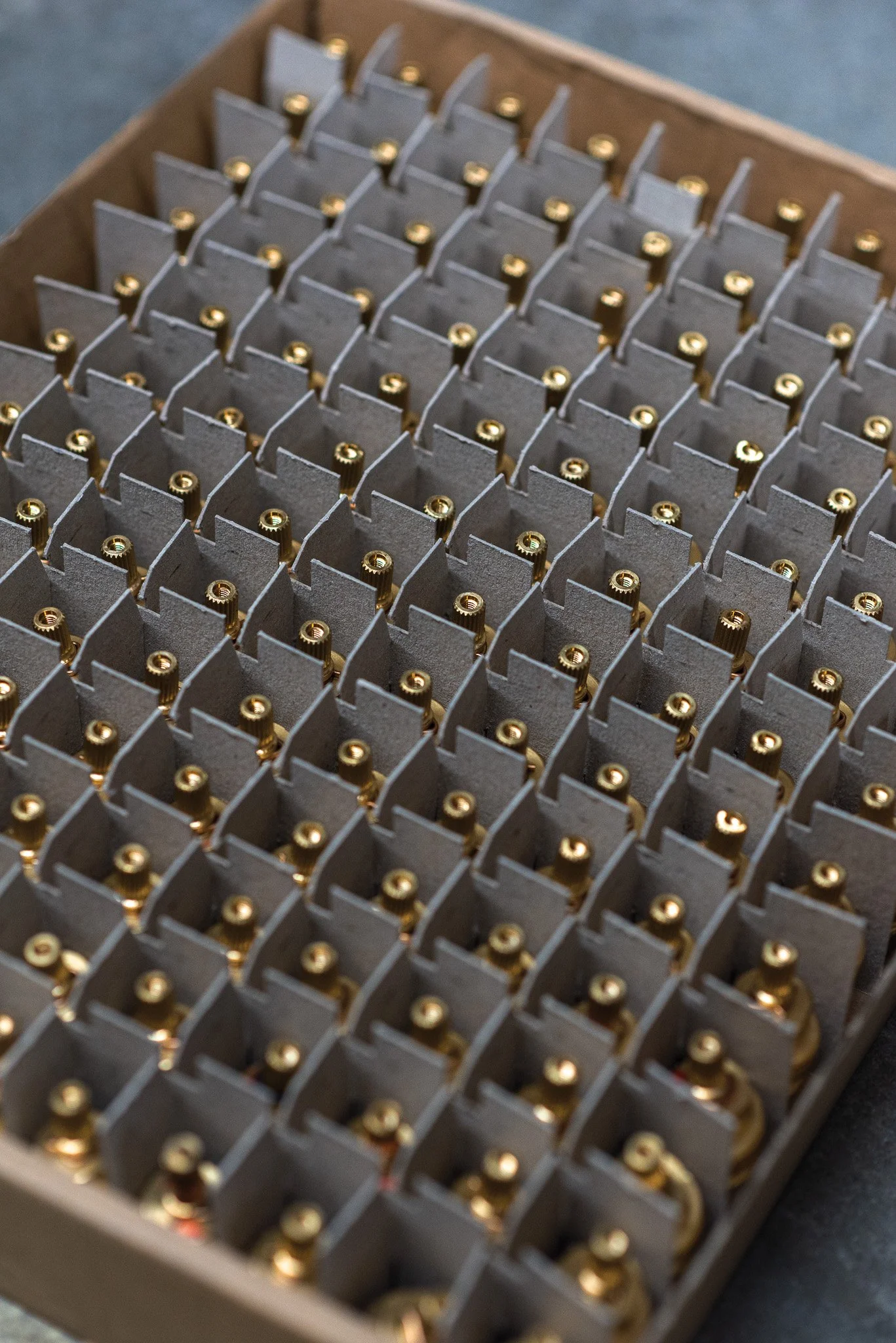 Caixa com várias pastilhas de ouro de formato circular, organizadas em uma grade de suportes de papelão.