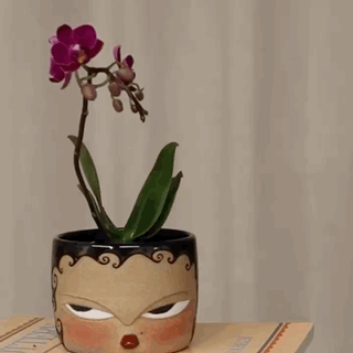 403A52A1-E27B-4C5E-83B7-C4EDBB039B4B.GIF