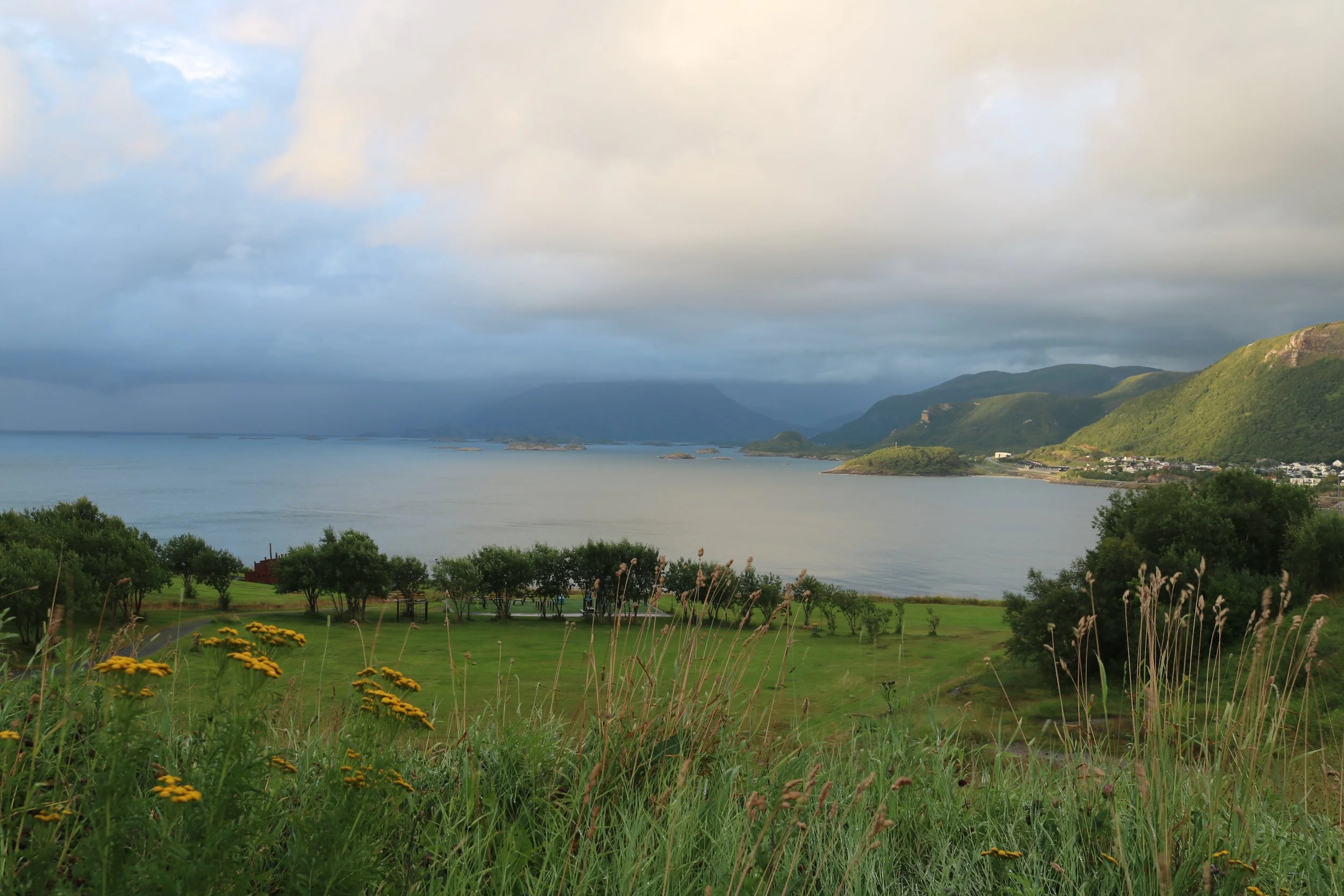 What is Telehealth Psychology - and how did we get here?