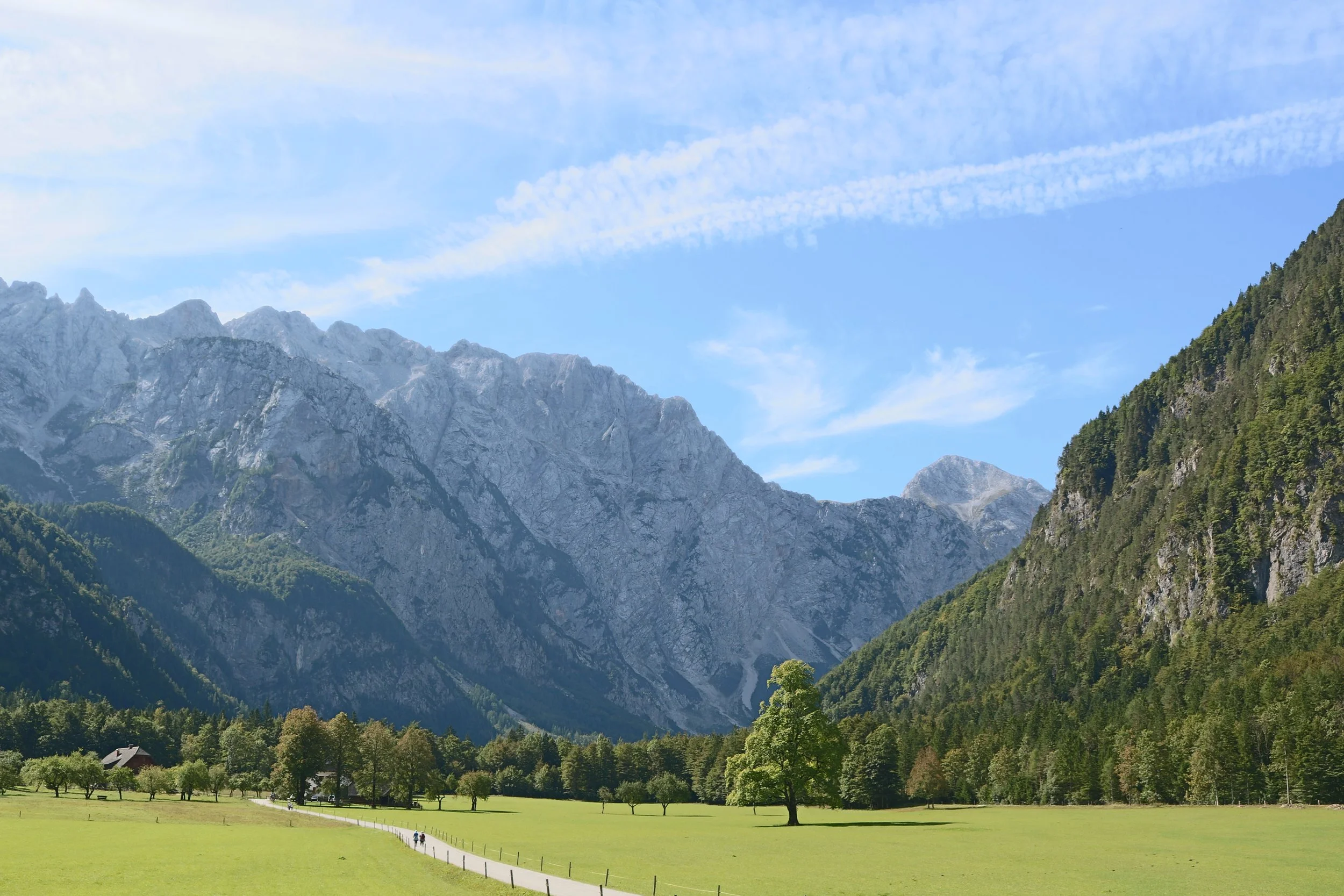 Where, and how we deliver evidence-based Psychology Support