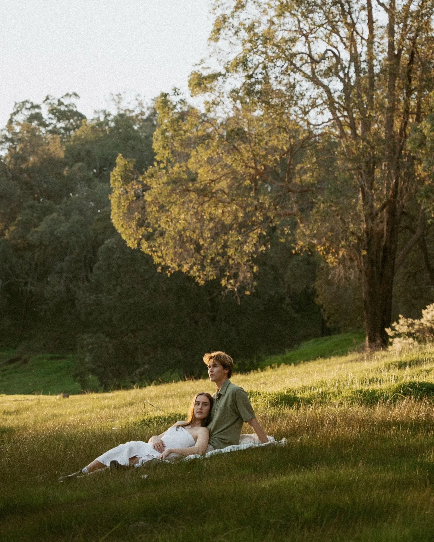 Sunlit meadows &amp; a whole lotta love 🌼