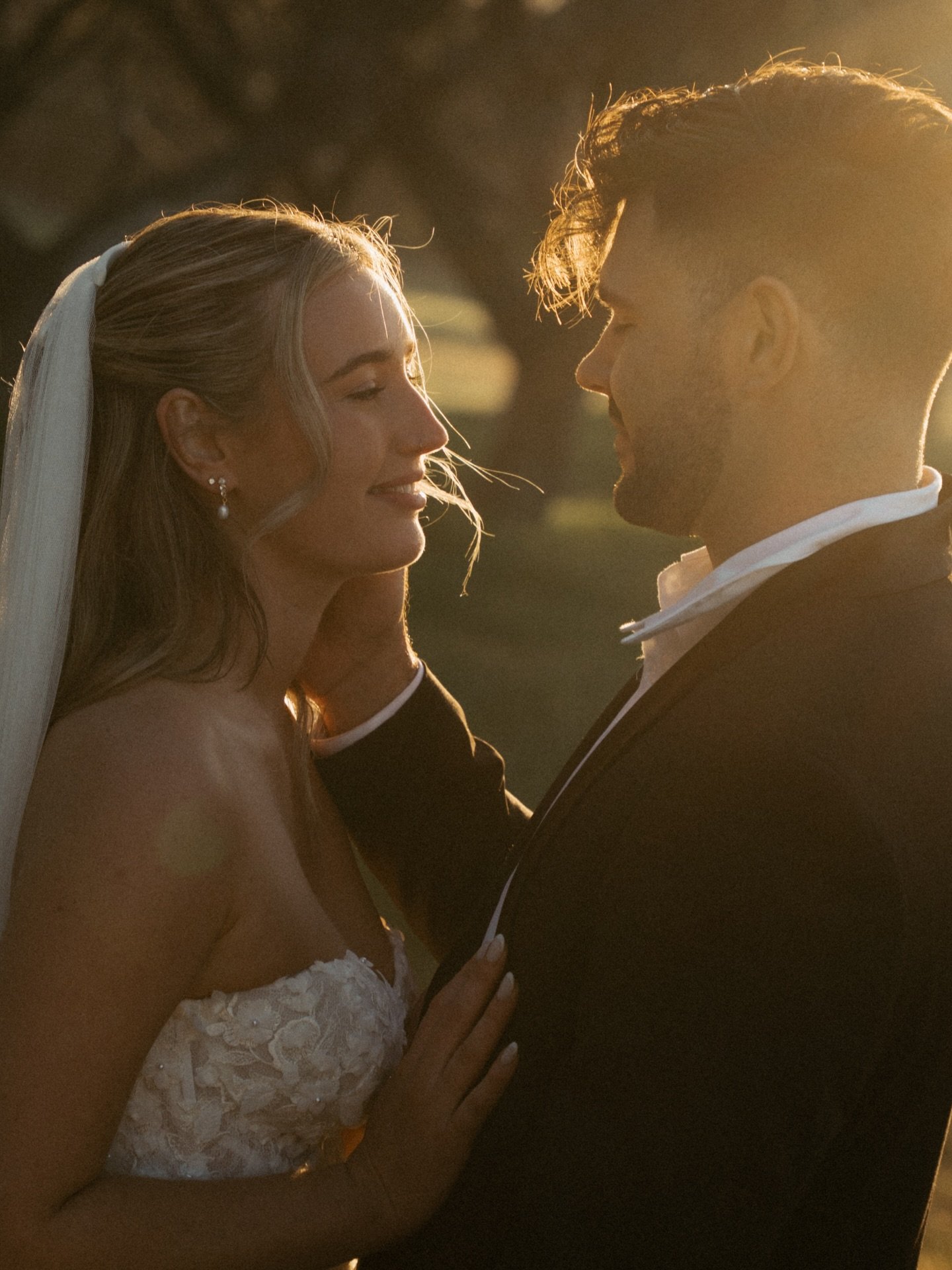 Something about that honey golden light 🍯