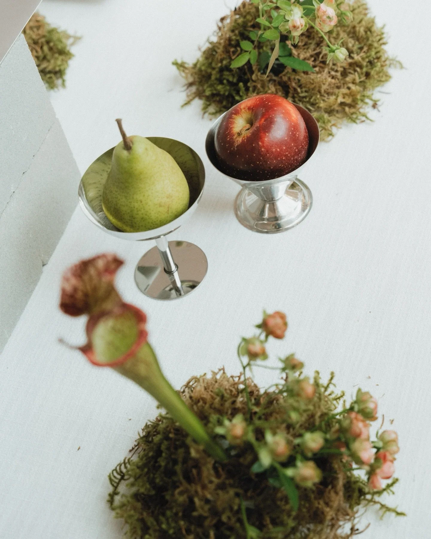 A moment for the dessert table that dreams are made of 🍋