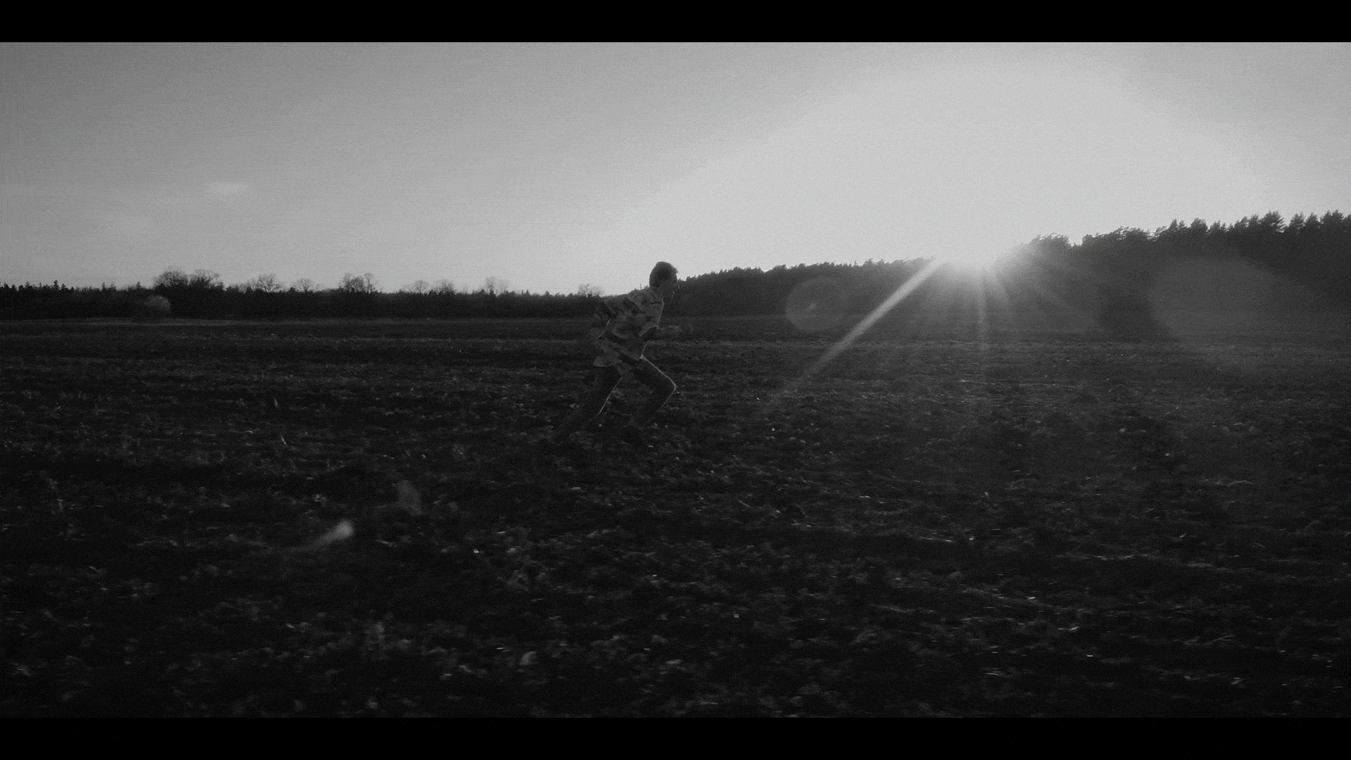 Nojus run gif 2.gif