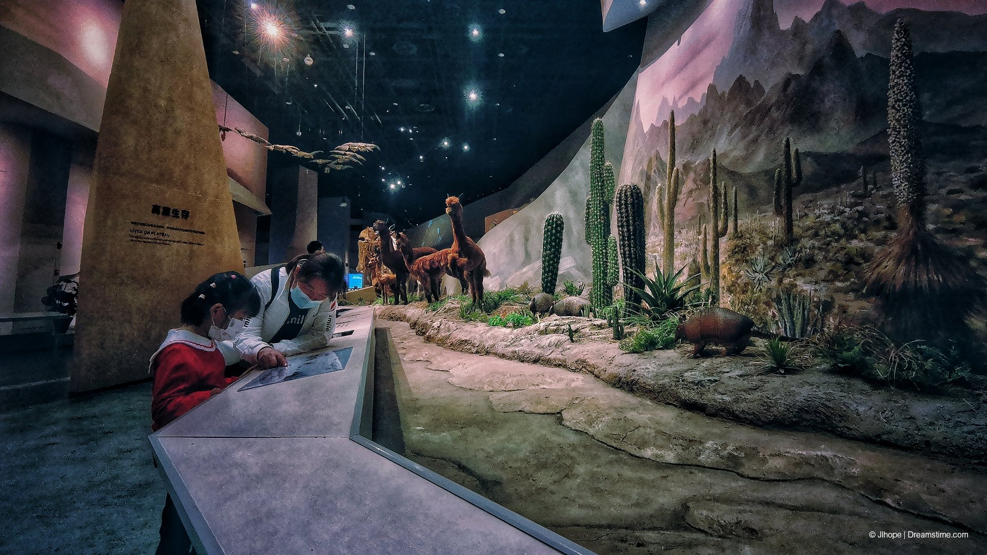 Wuhan Natural History Museum_Imagemakers_View 4.jpg