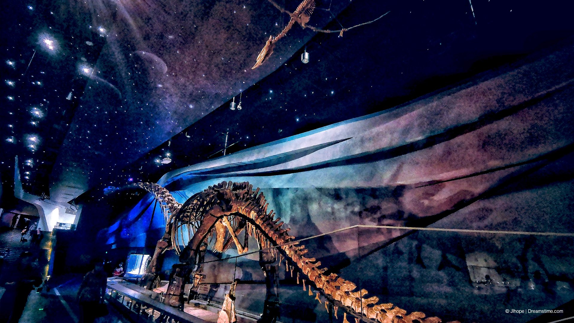 Wuhan Natural History Museum_Imagemakers_View 1.jpg