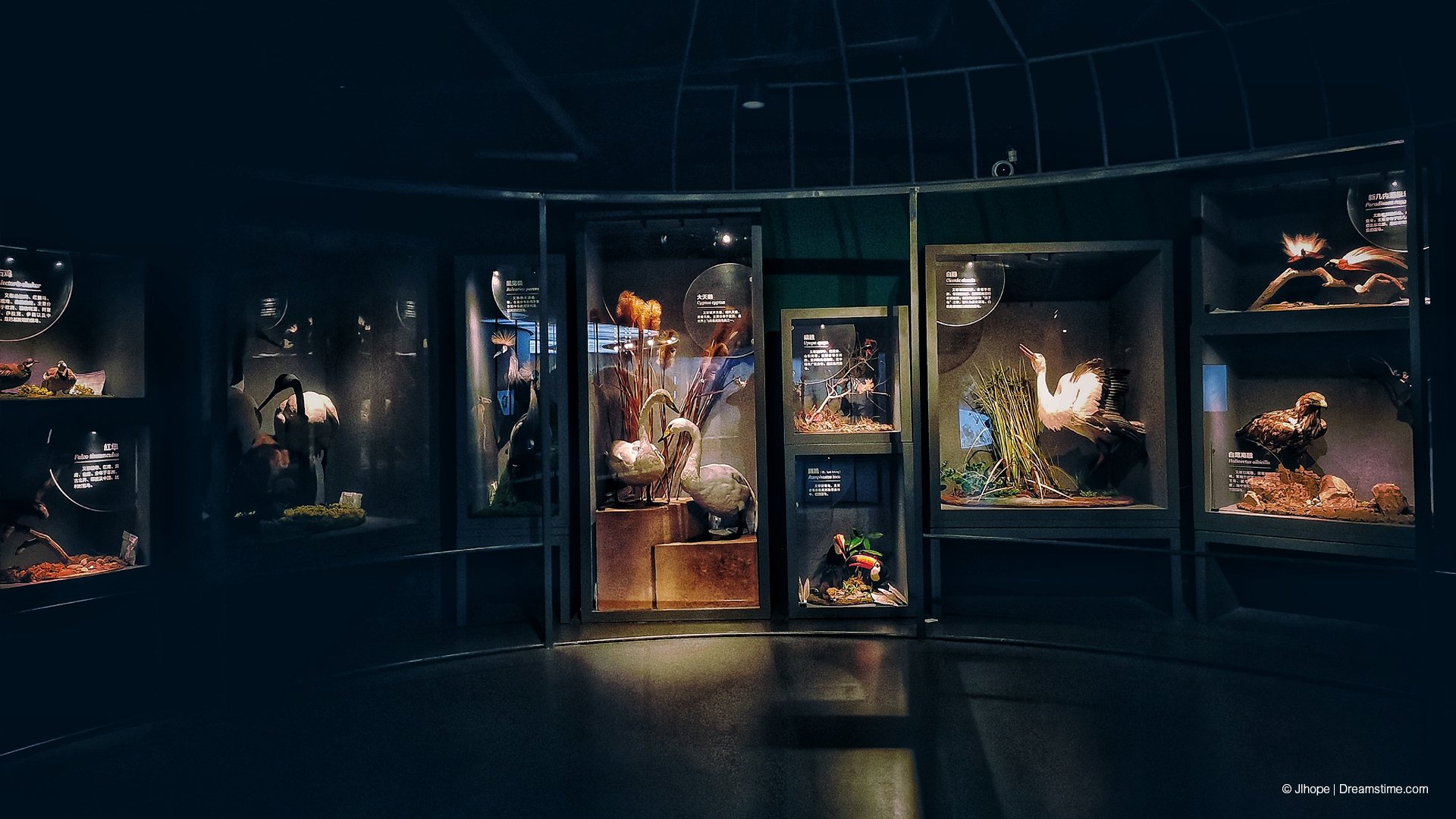 Wuhan Natural History Museum_Imagemakers_View 6.jpg