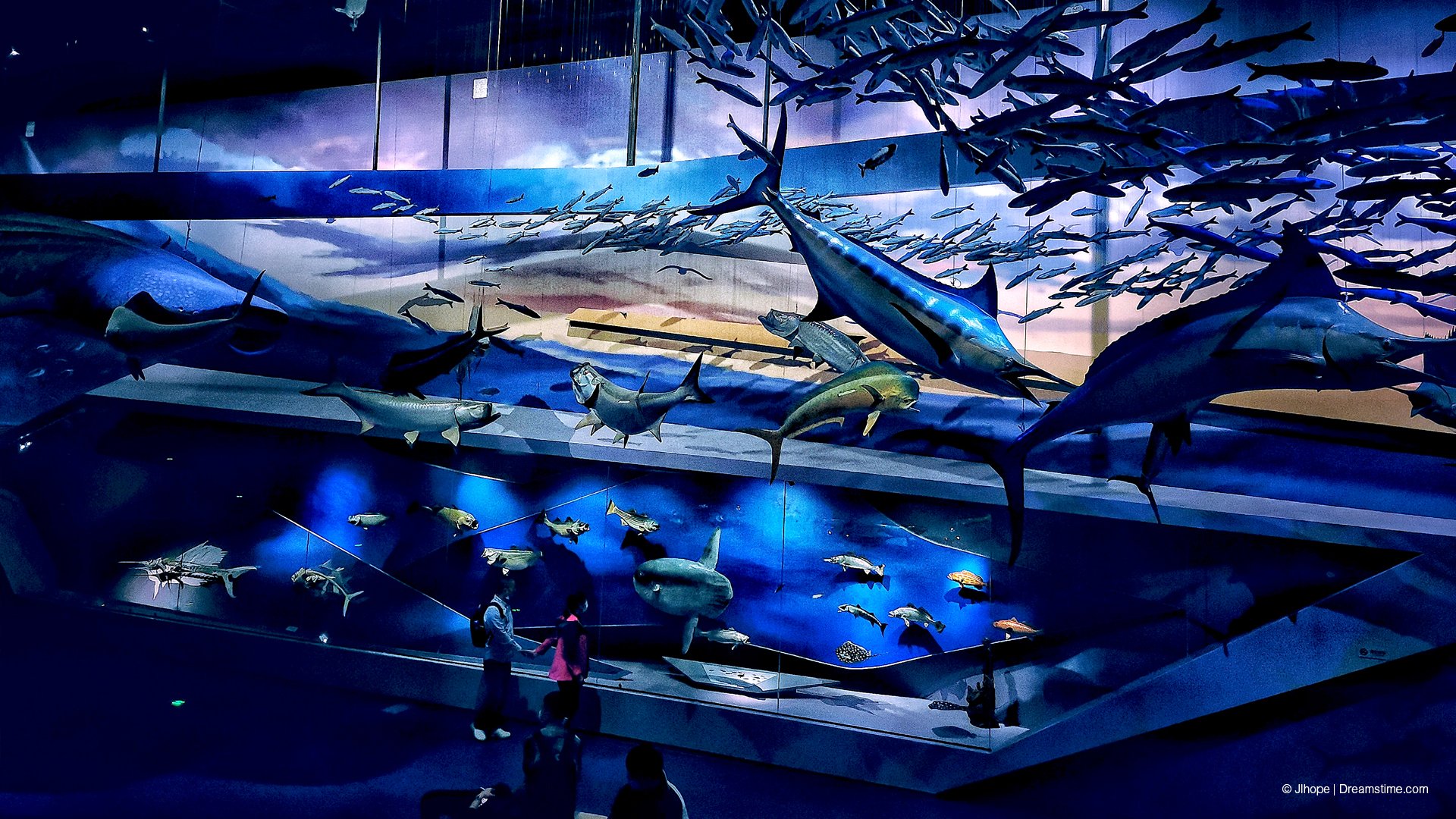 Wuhan Natural History Museum_Imagemakers_View 2.jpg