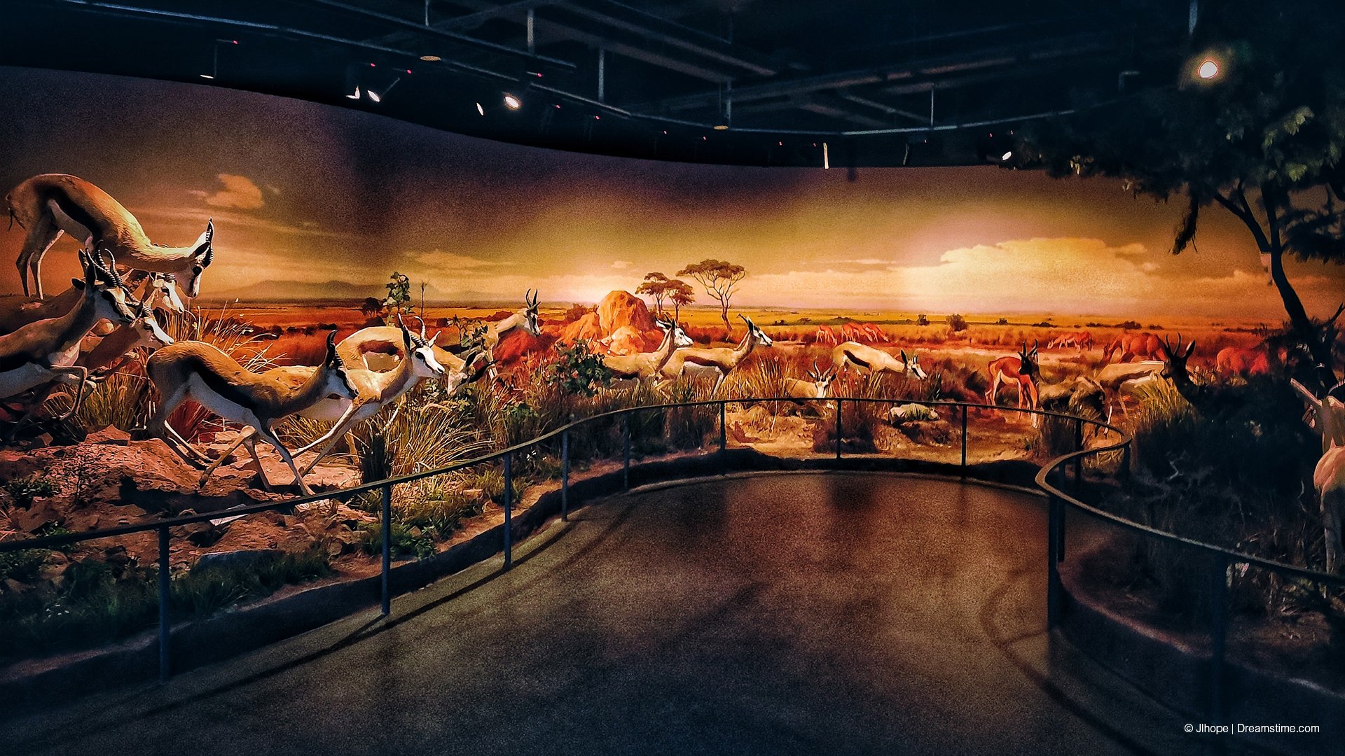 Wuhan Natural History Museum_Imagemakers_View 5.jpg