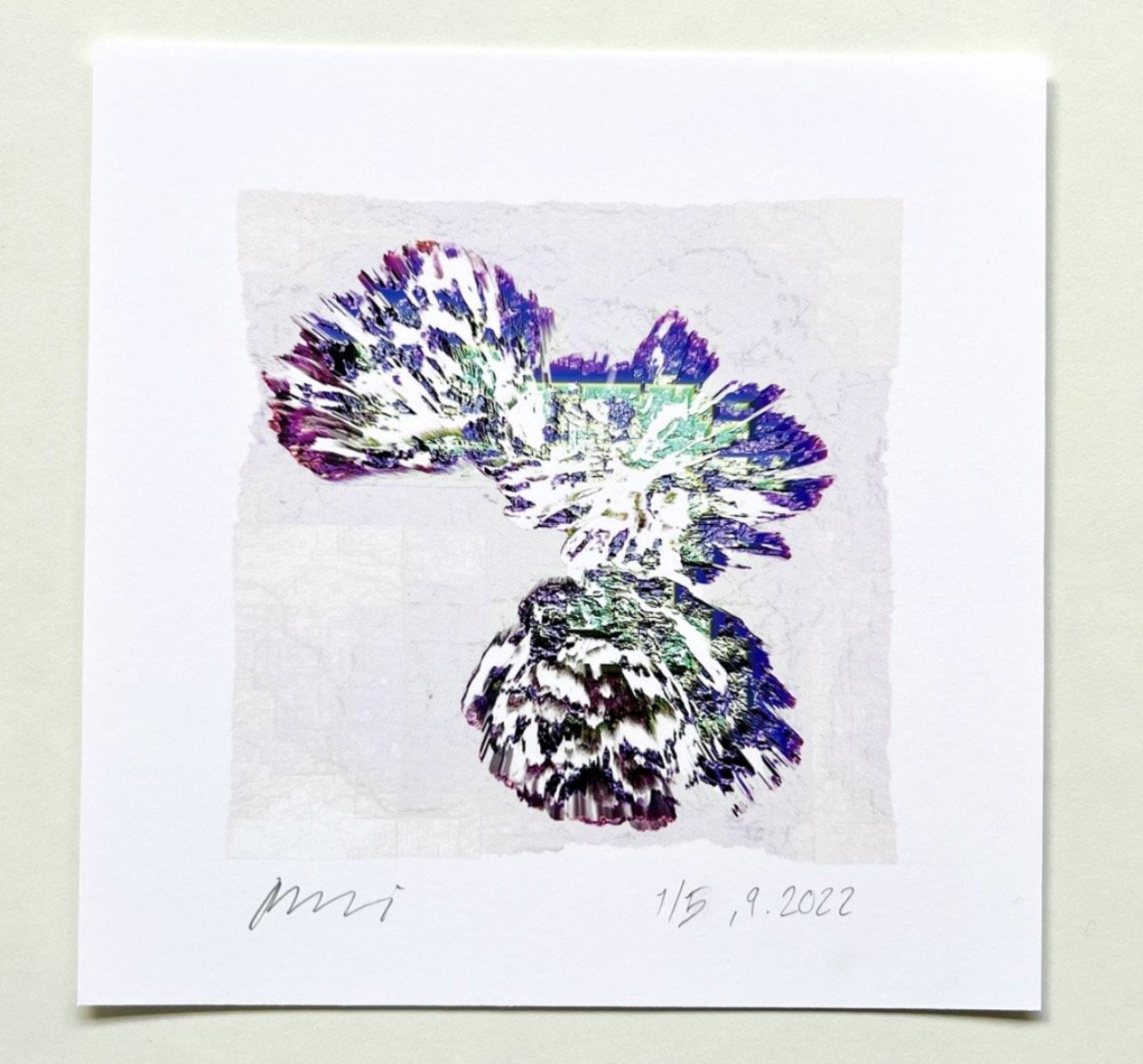 Quantum Flower 1