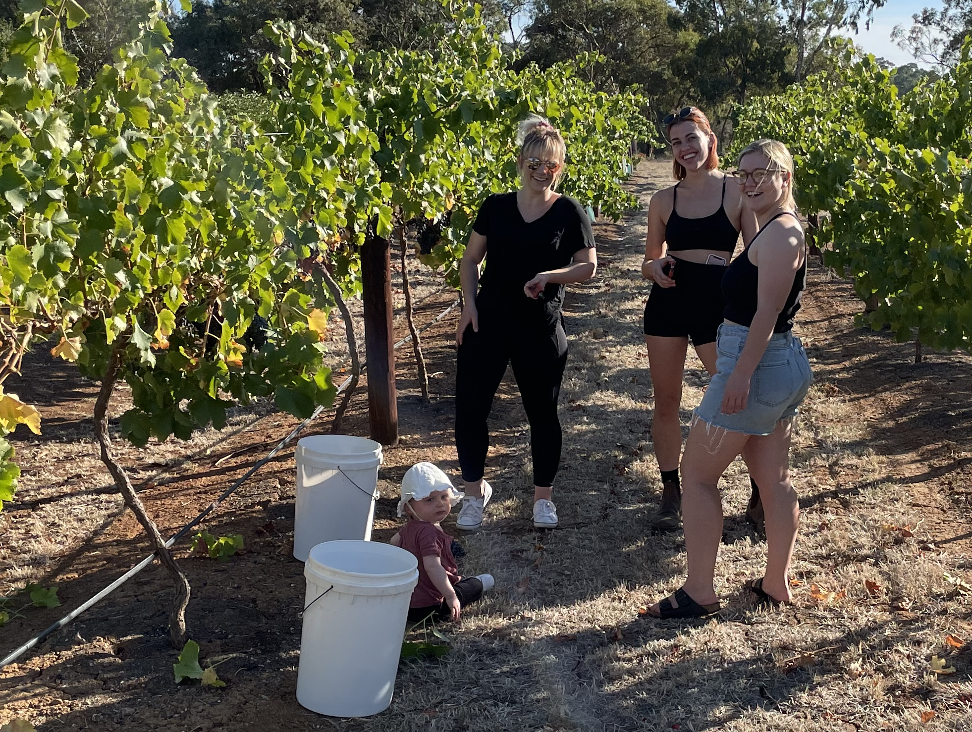 Goodman Viticulture Vineyard Girls