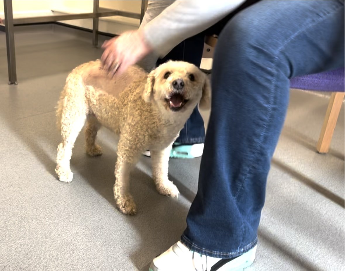 Tilly’s Story