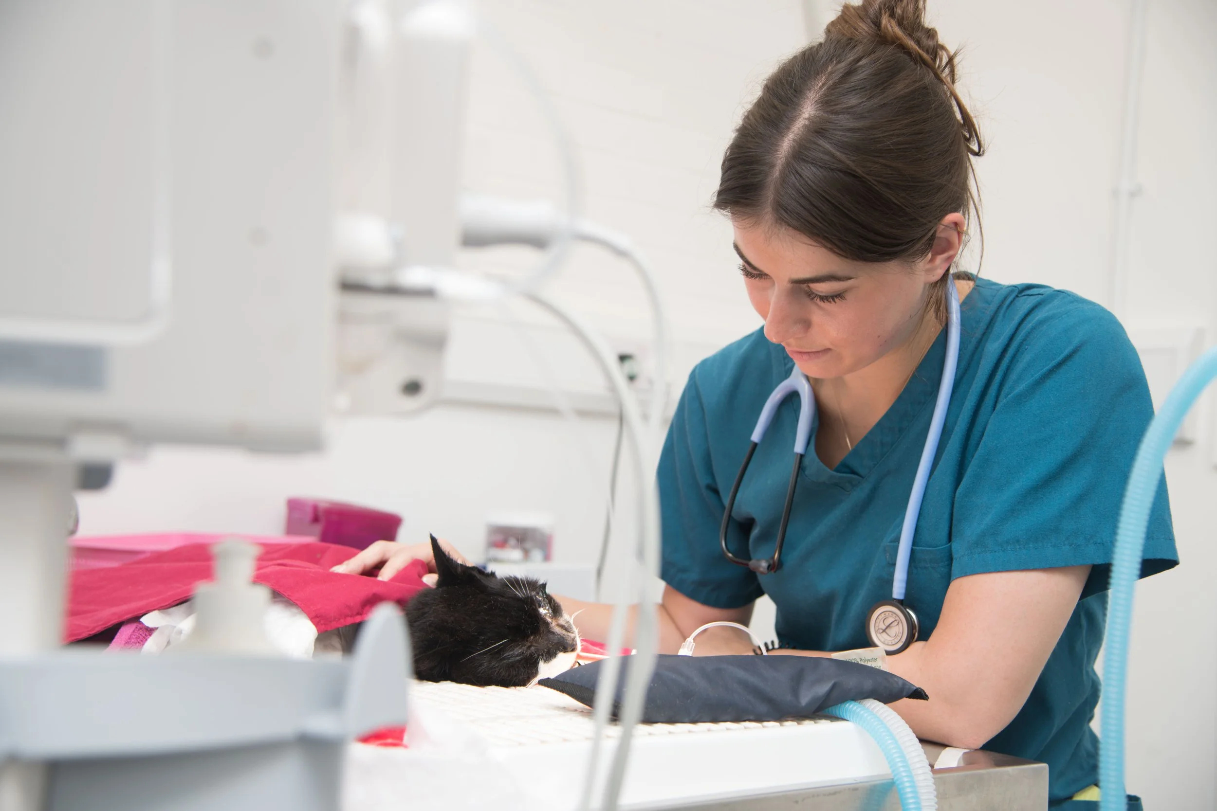 A Team of Dedicated and Caring Nurses