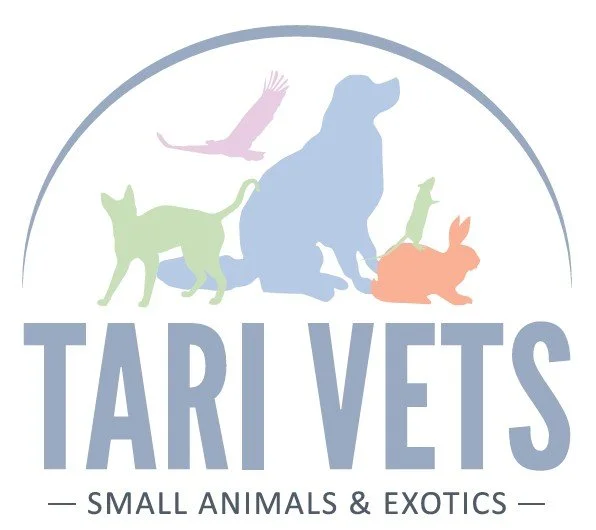 Tari Vets Shenfield - Small Animals and Exotics