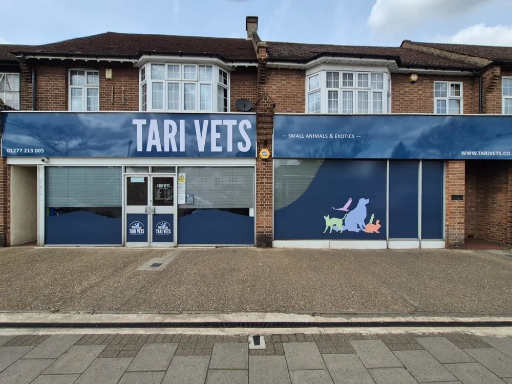 About — Tari Vets Shenfield - Small Animals and Exotics